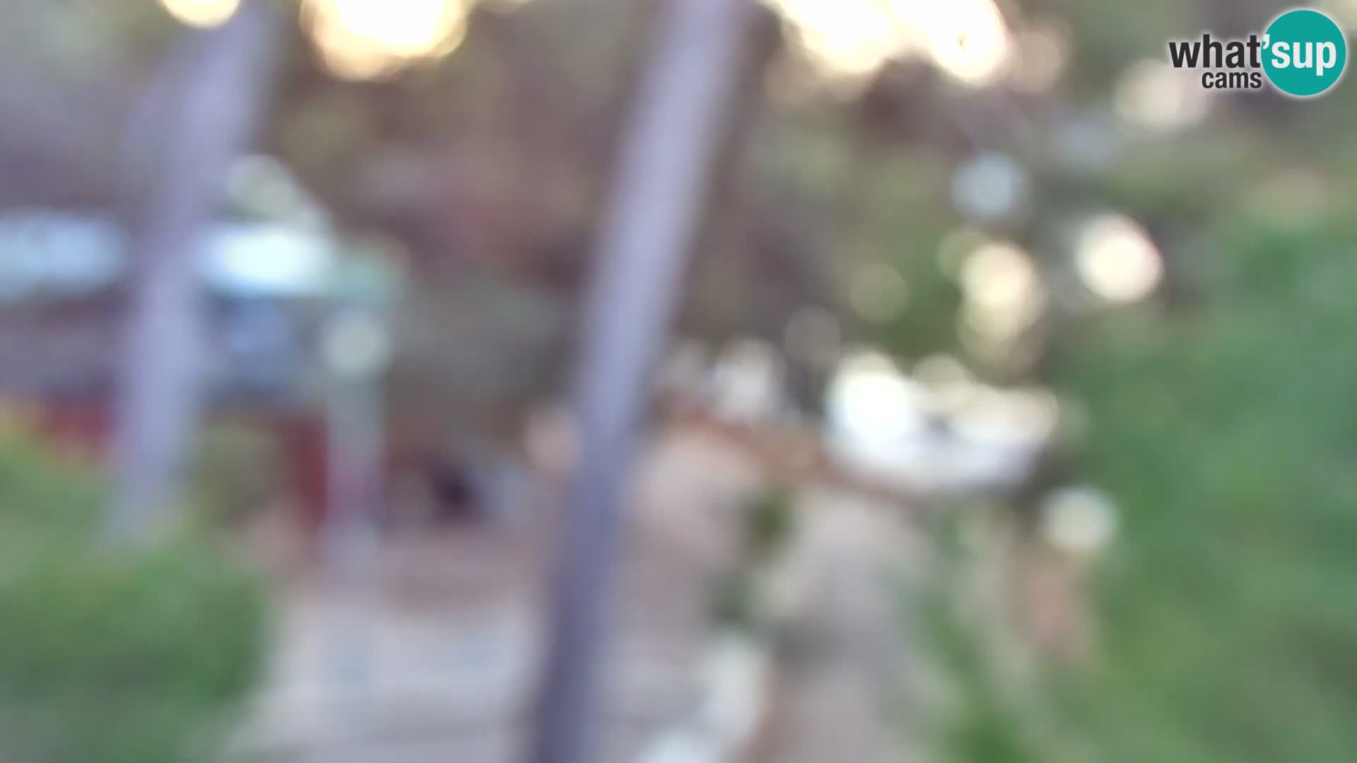 Webcam Borik beach Rovinj – Istria