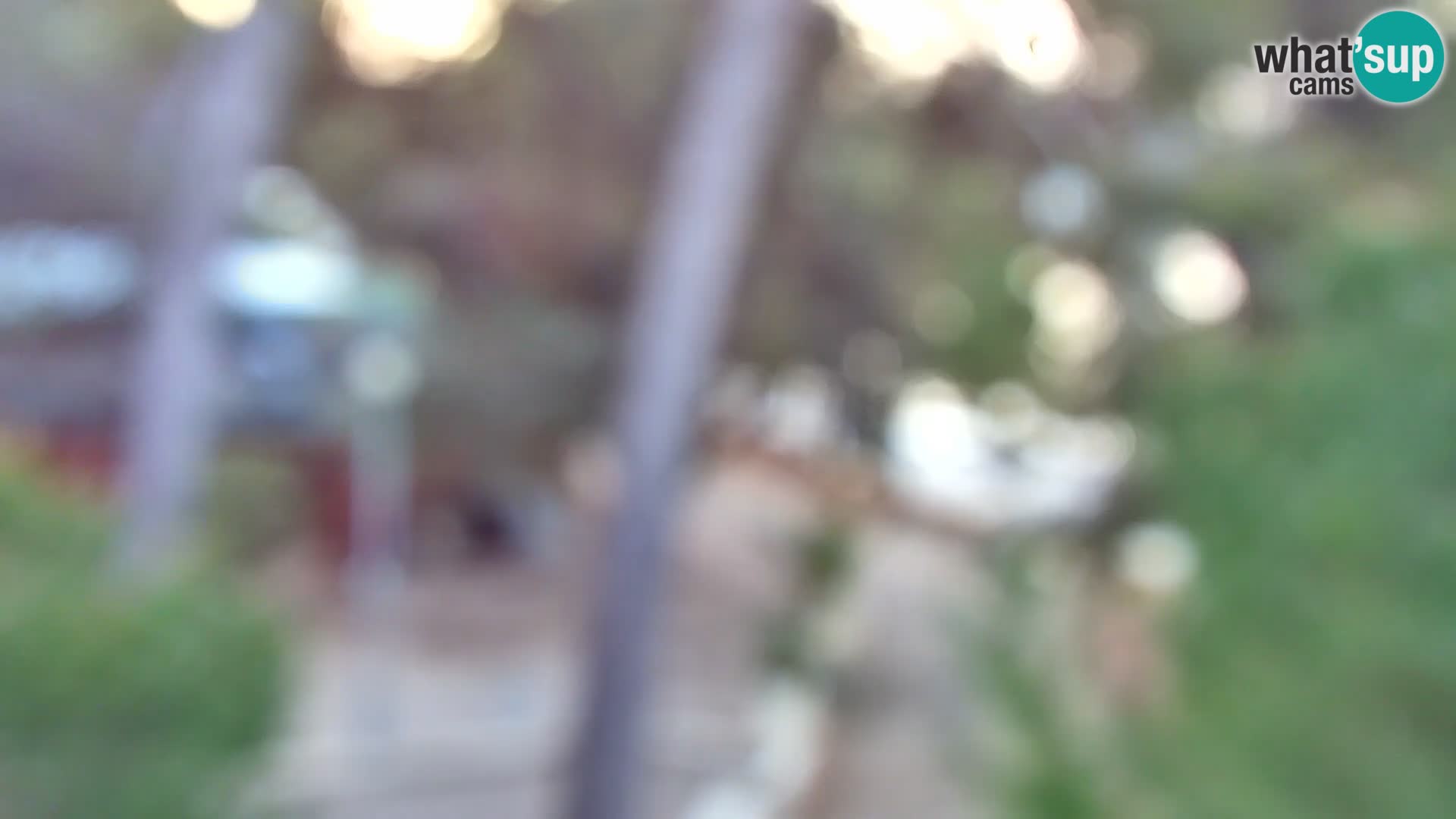 Webcam Borik beach Rovinj – Istria