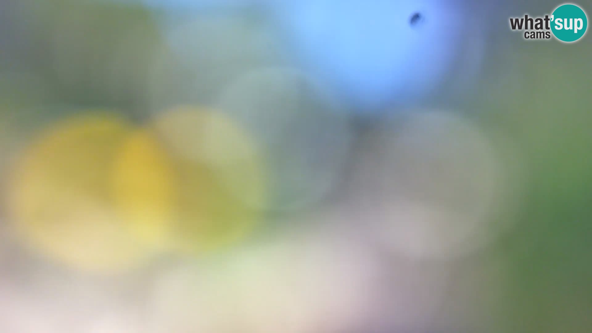 Webcam Borik Strand Rovinj – Istrien