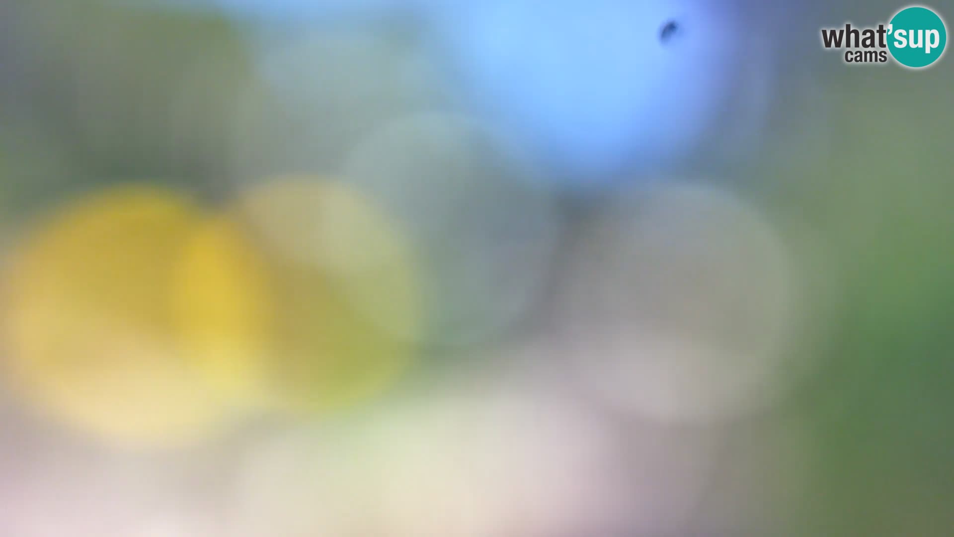 Webcam Borik beach Rovinj – Istria