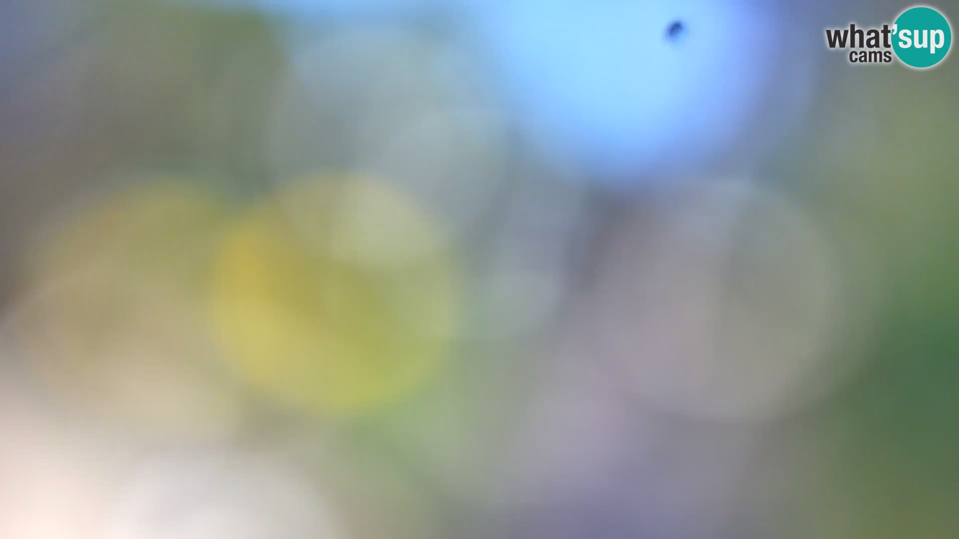 Webcam Borik beach Rovinj – Istria