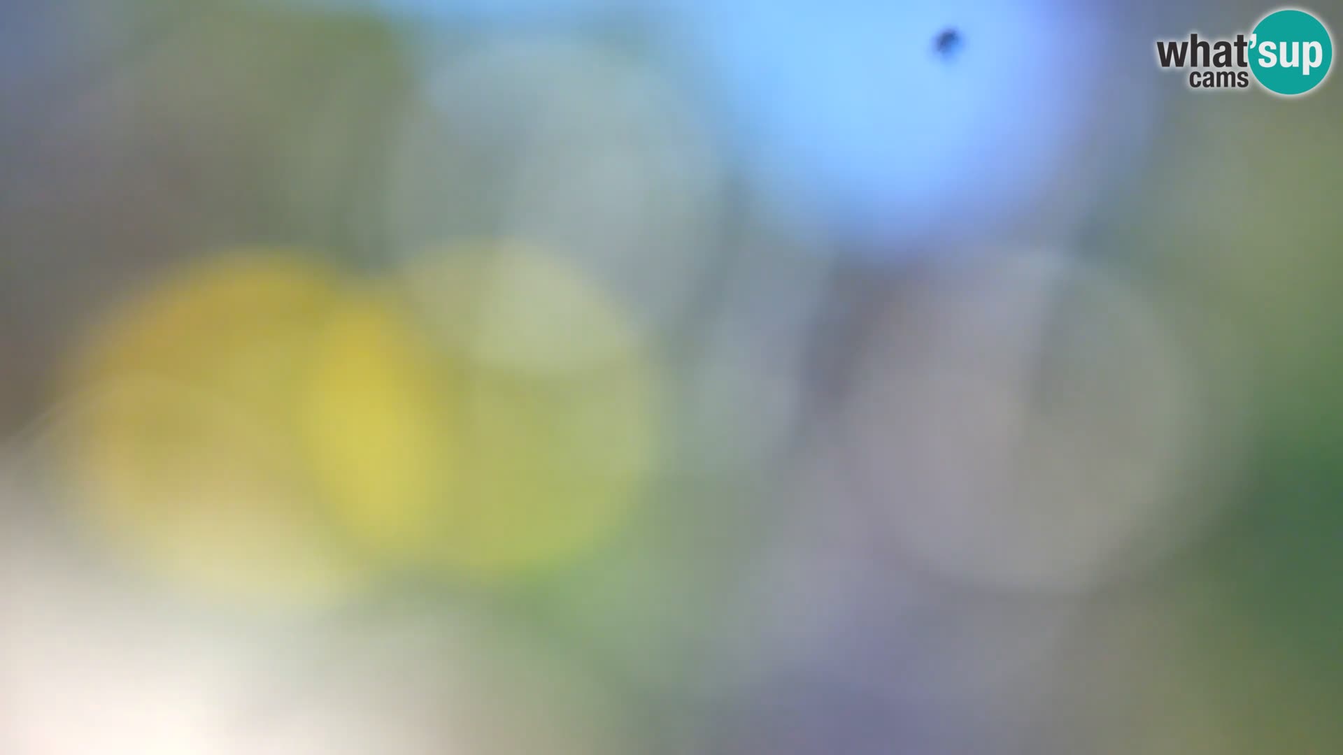 Webcam Borik Strand Rovinj – Istrien