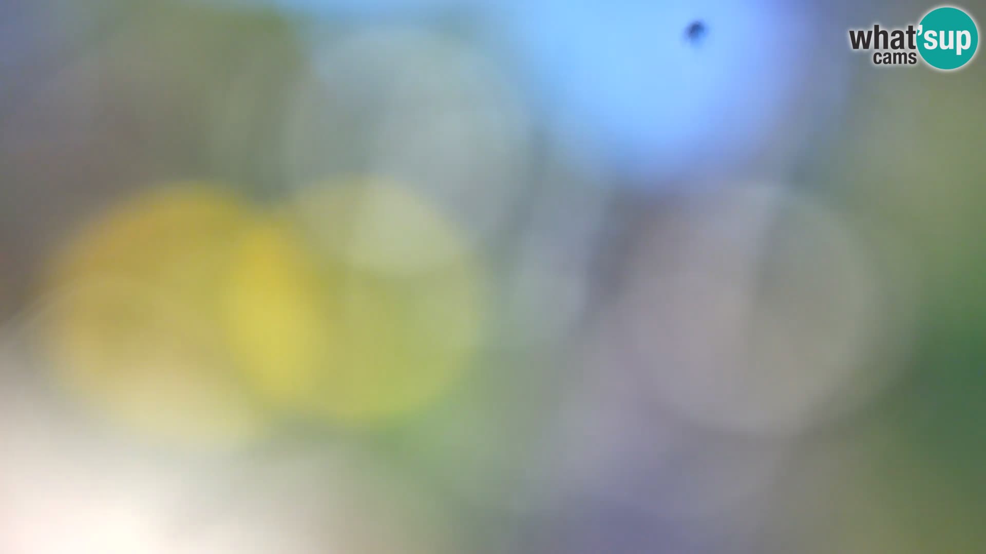 Webcam Borik beach Rovinj – Istria