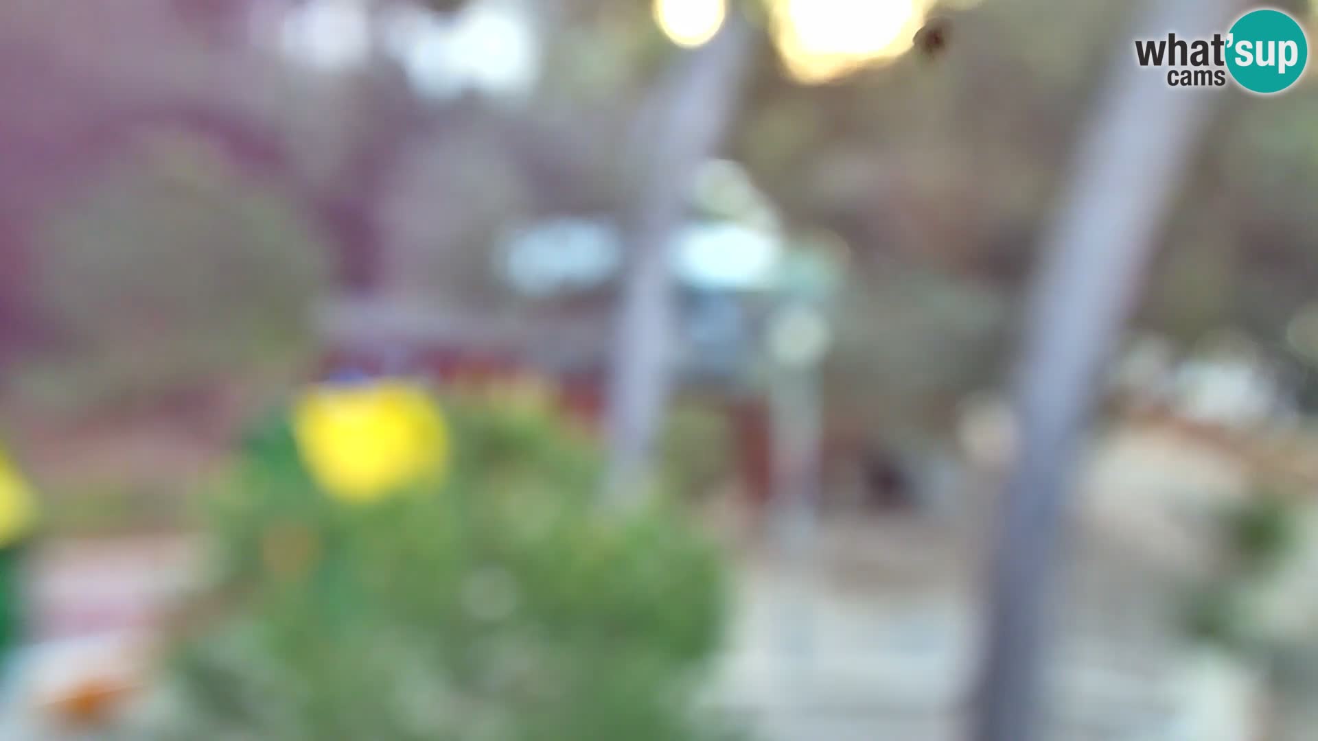 Web kamera Borik plaža Rovinj – Istra