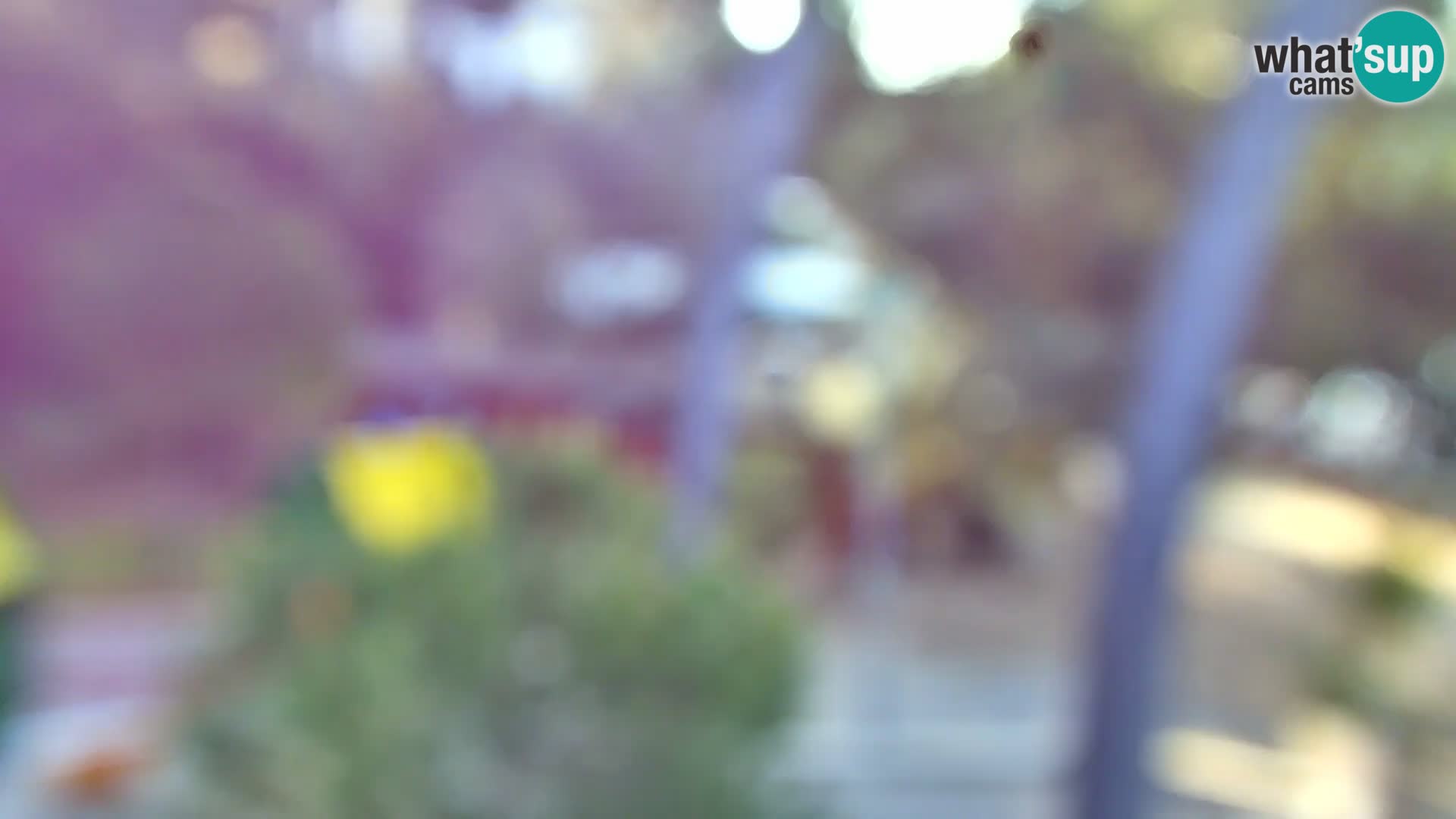 Web kamera Borik plaža Rovinj – Istra