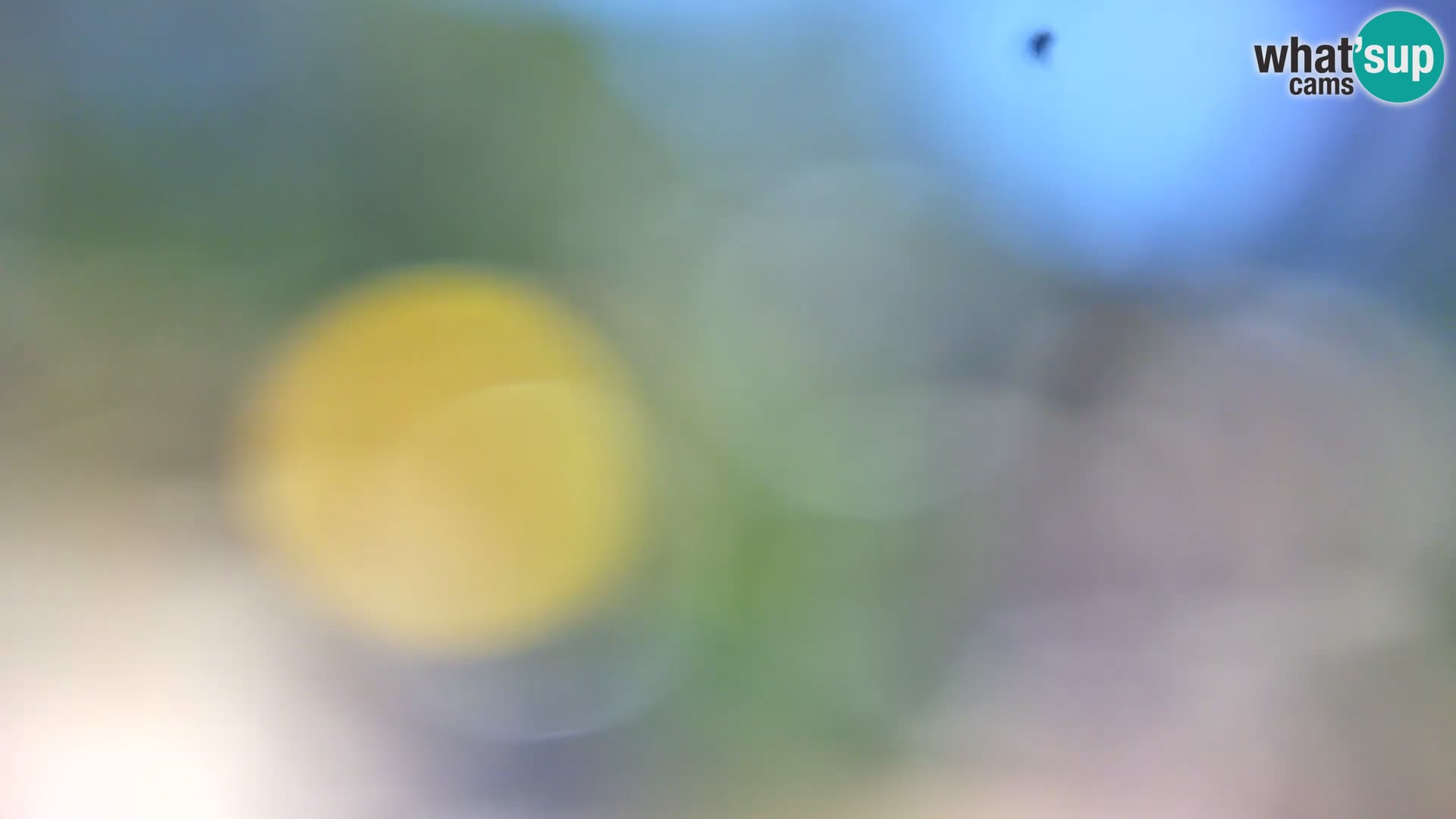 Webcam Spiaggia Borik a Rovigno – Istria