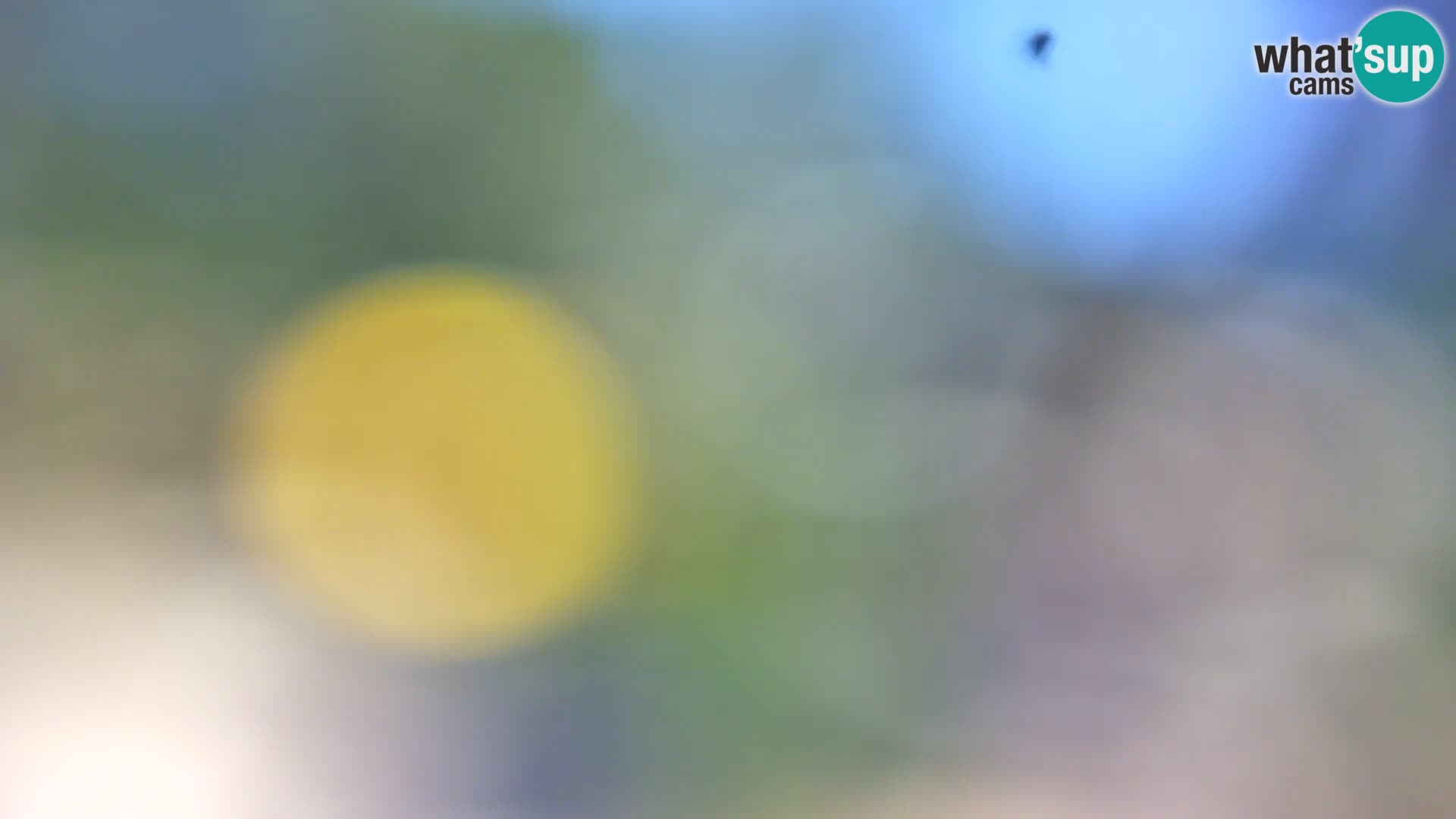 Livecam Borik plage Rovinj – Istrie