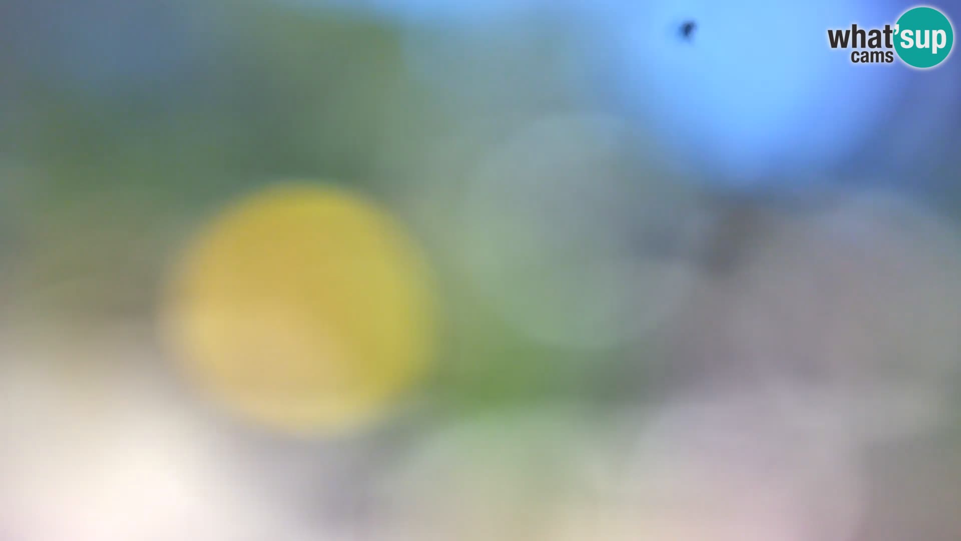 Camera en vivo Borik playa Rovinj – Istria