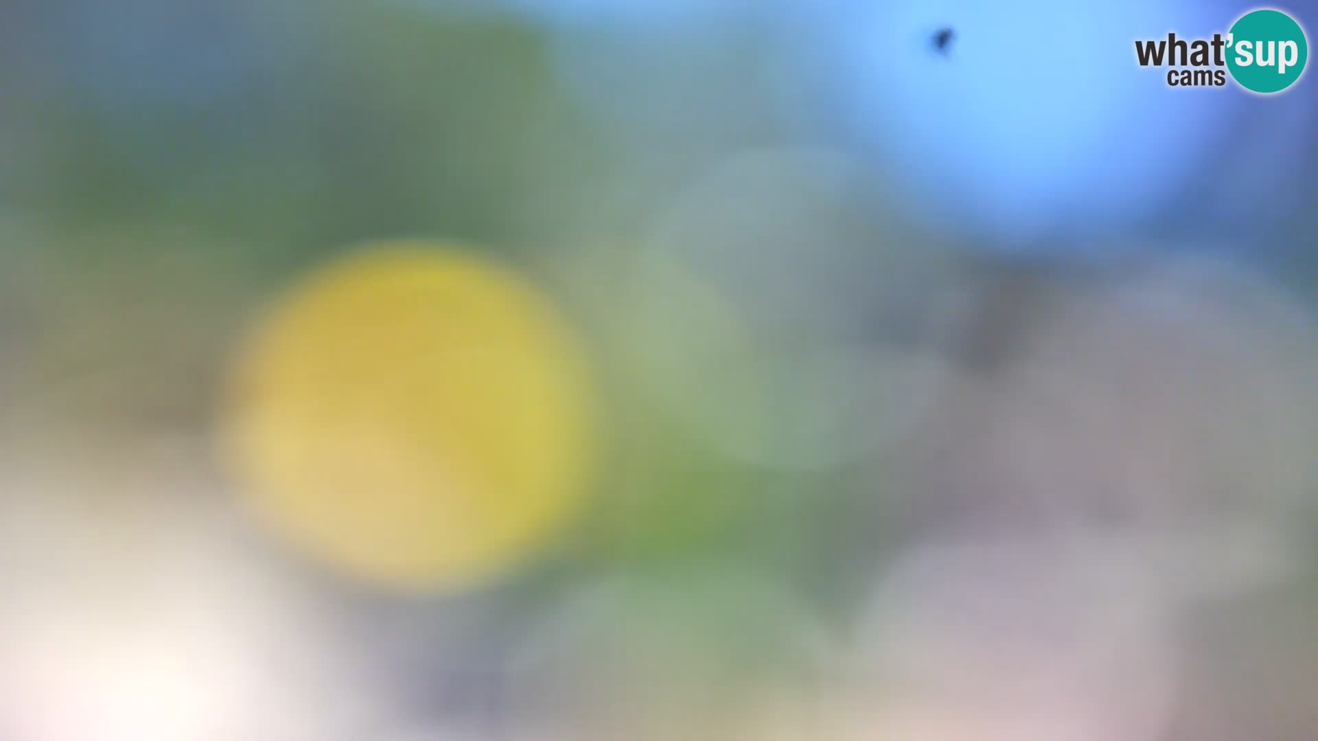 Camera en vivo Borik playa Rovinj – Istria