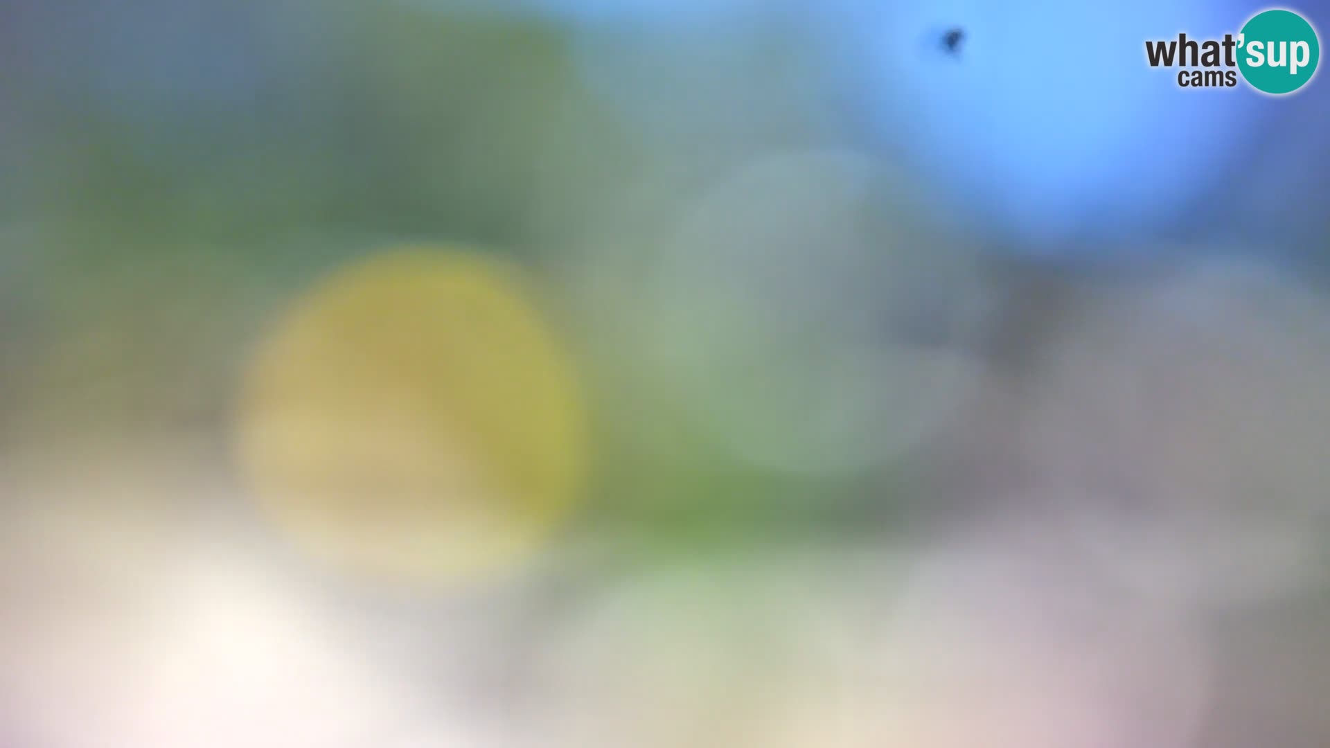 Camera en vivo Borik playa Rovinj – Istria