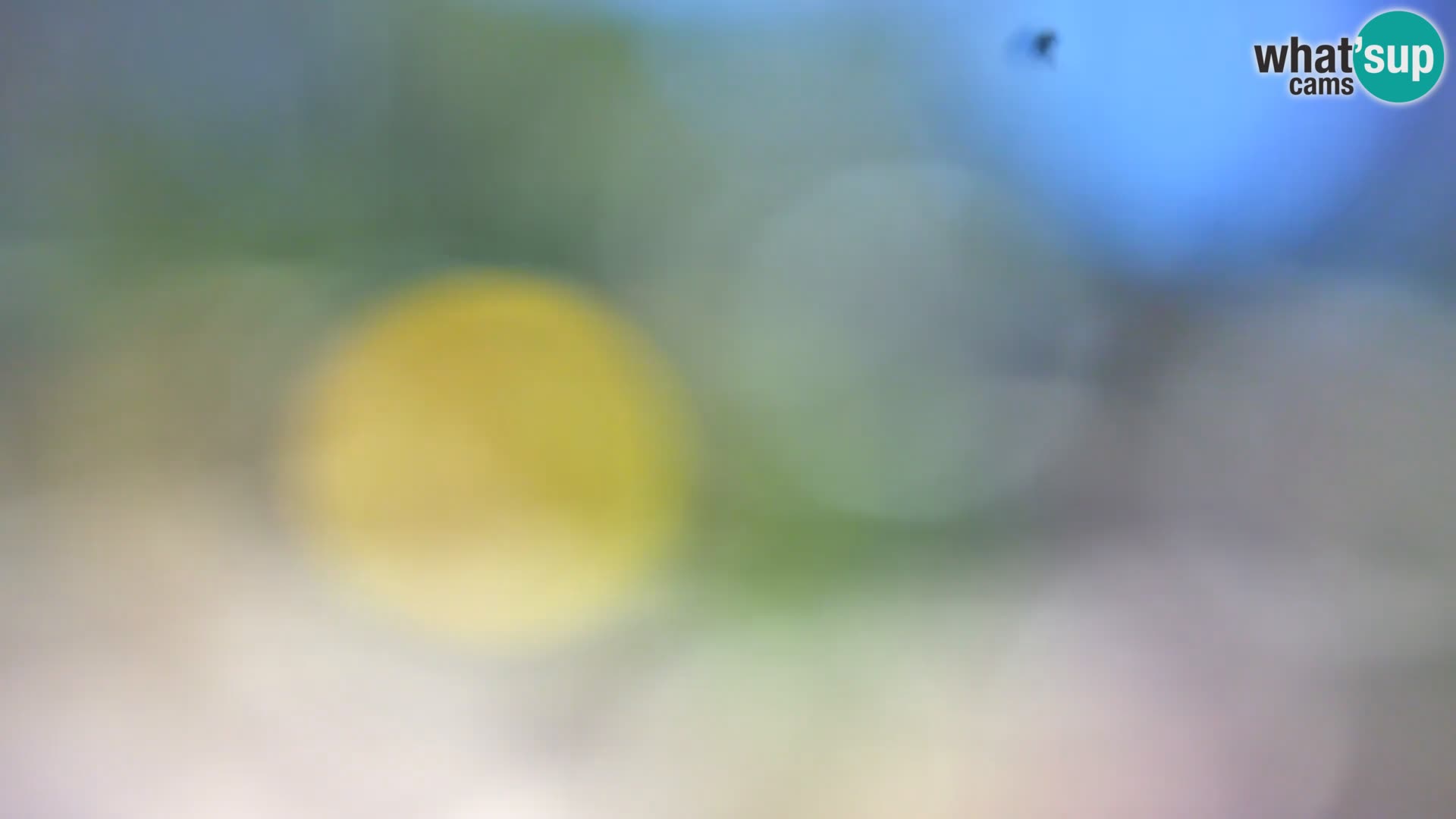 Livecam Borik plage Rovinj – Istrie