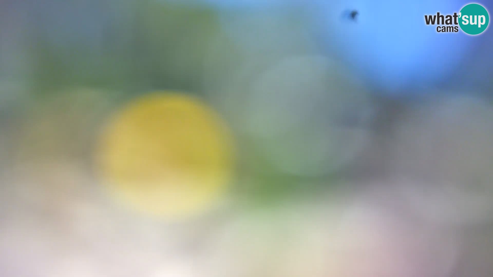 Webcam Spiaggia Borik a Rovigno – Istria