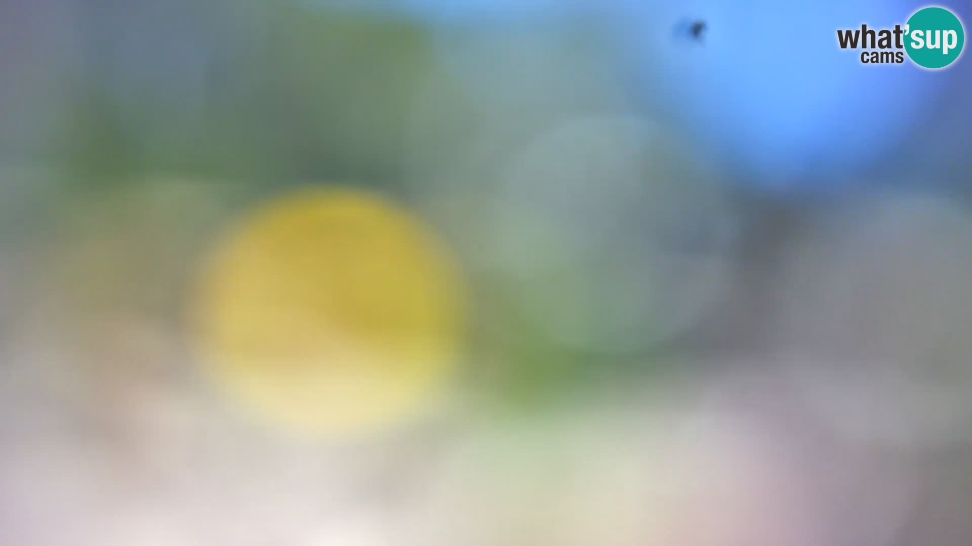 Livecam Borik plage Rovinj – Istrie