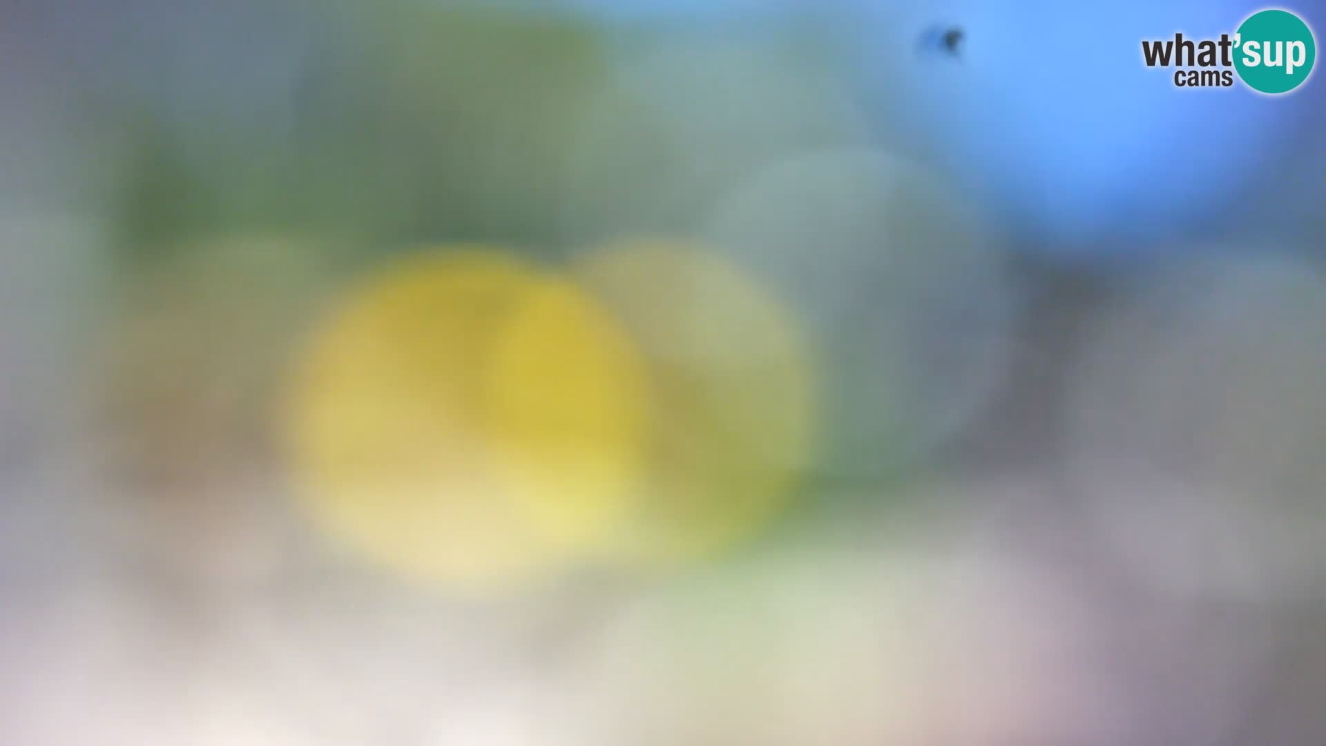 Camera en vivo Borik playa Rovinj – Istria