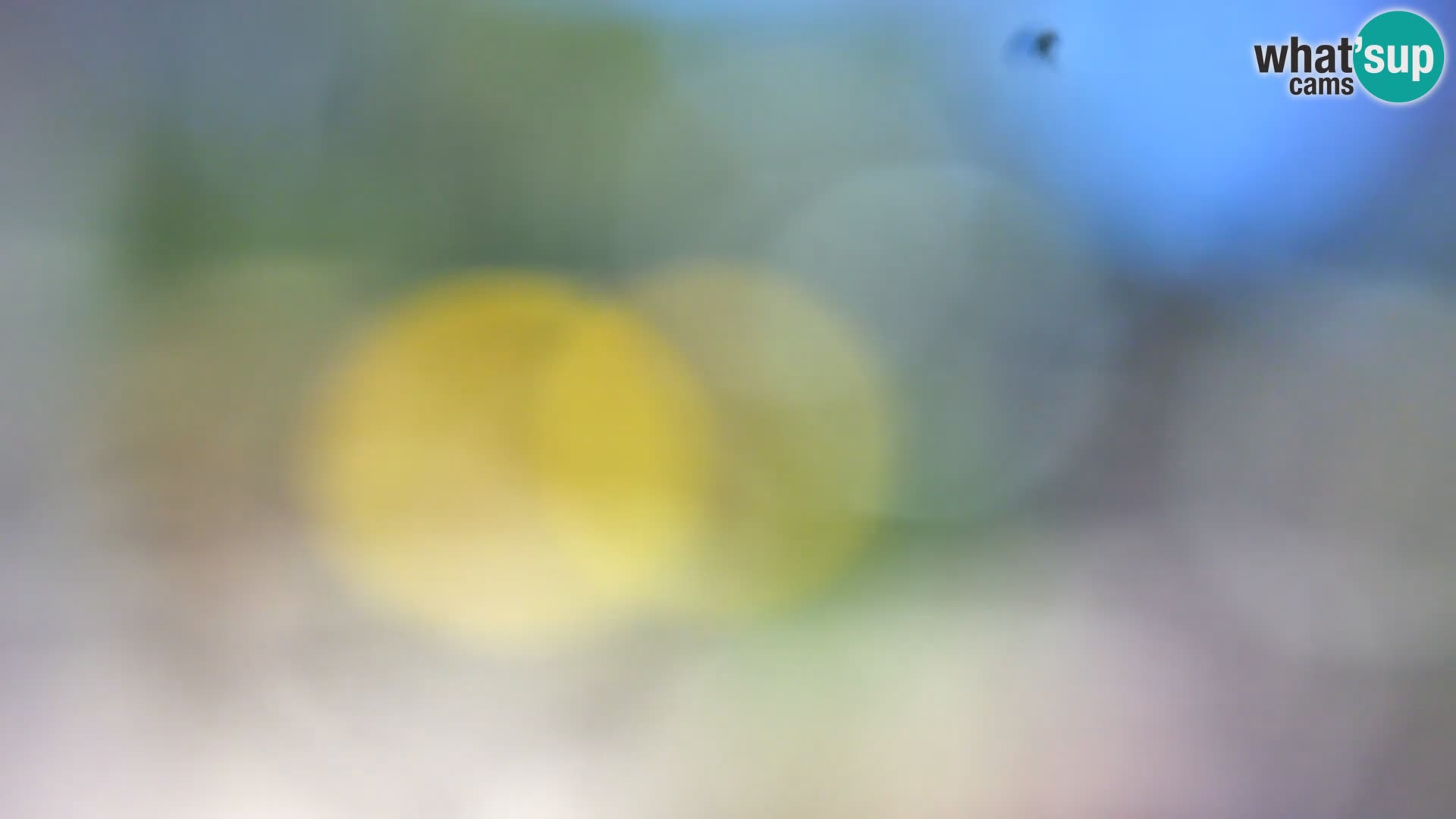 Spletna kamera plaža Borik Rovinj