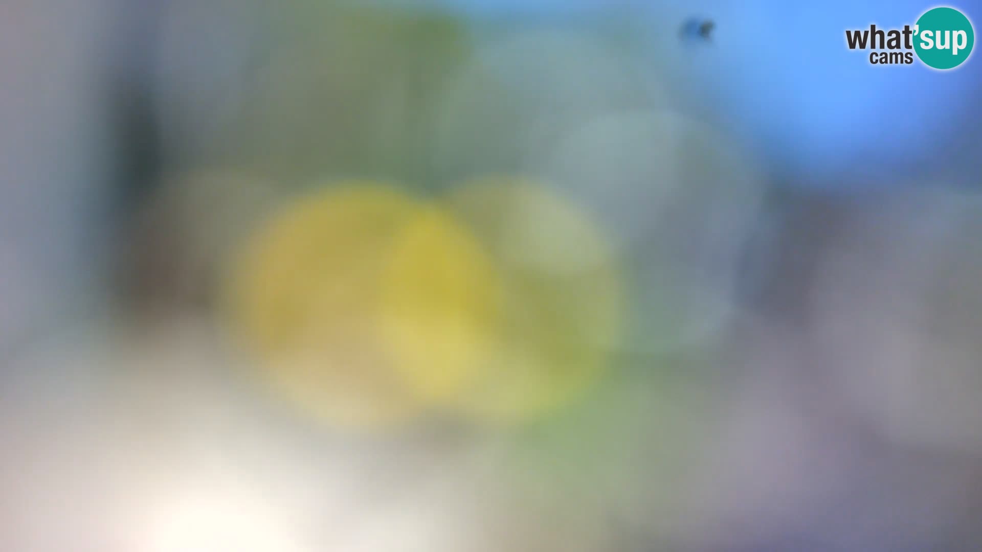 Webcam Spiaggia Borik a Rovigno – Istria