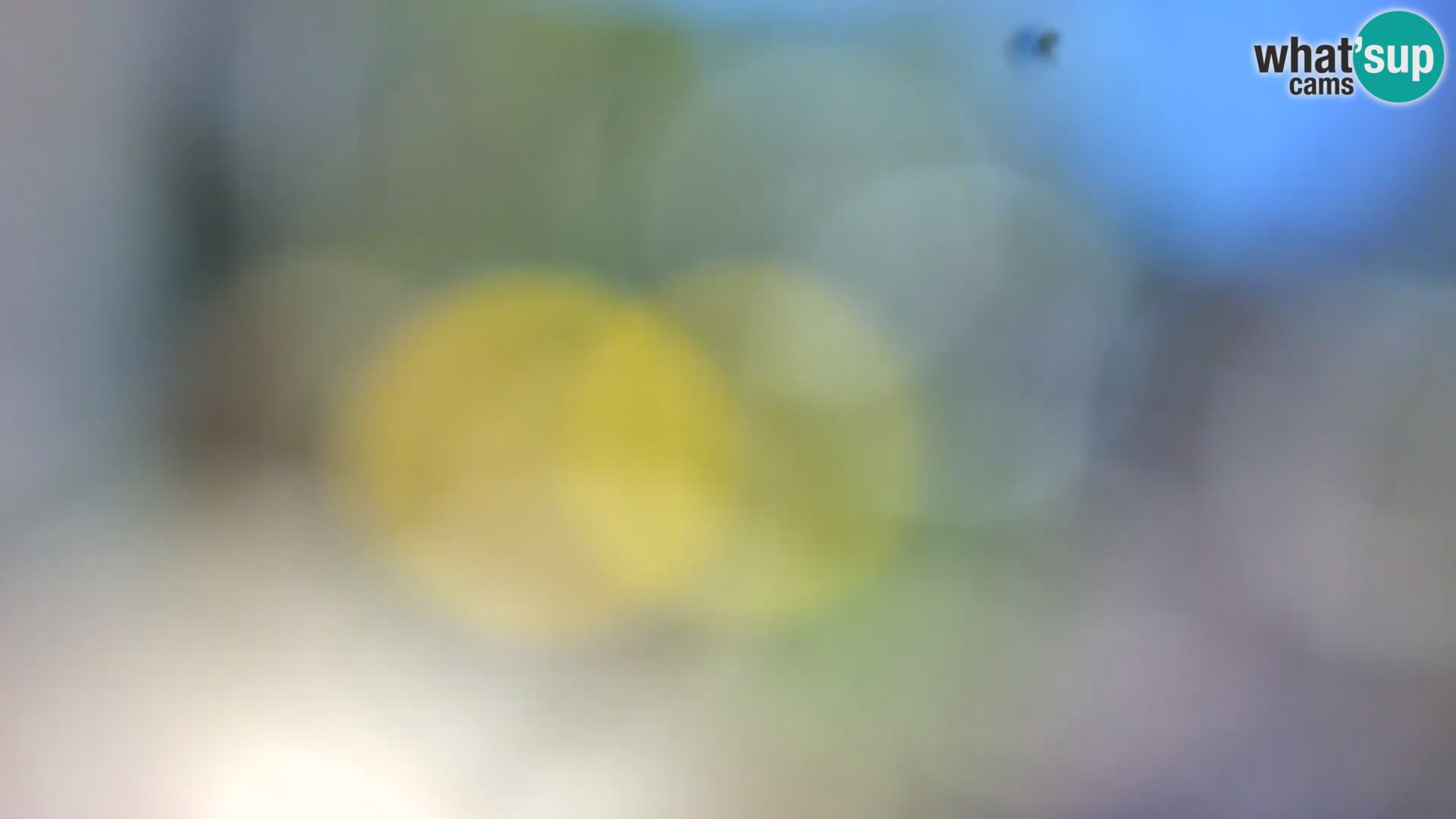 Livecam Borik plage Rovinj – Istrie