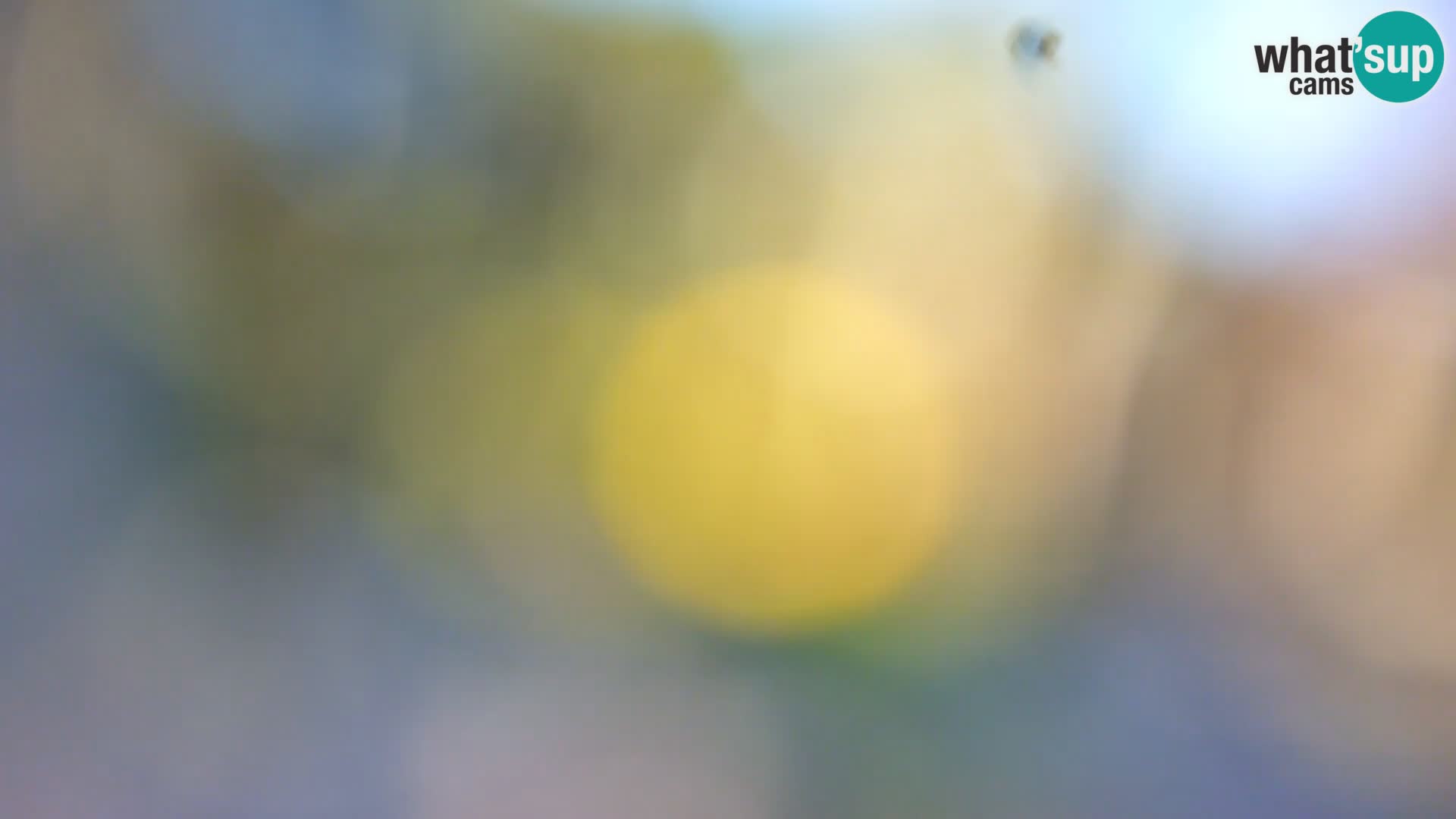 Webcam Borik Strand Rovinj – Istrien