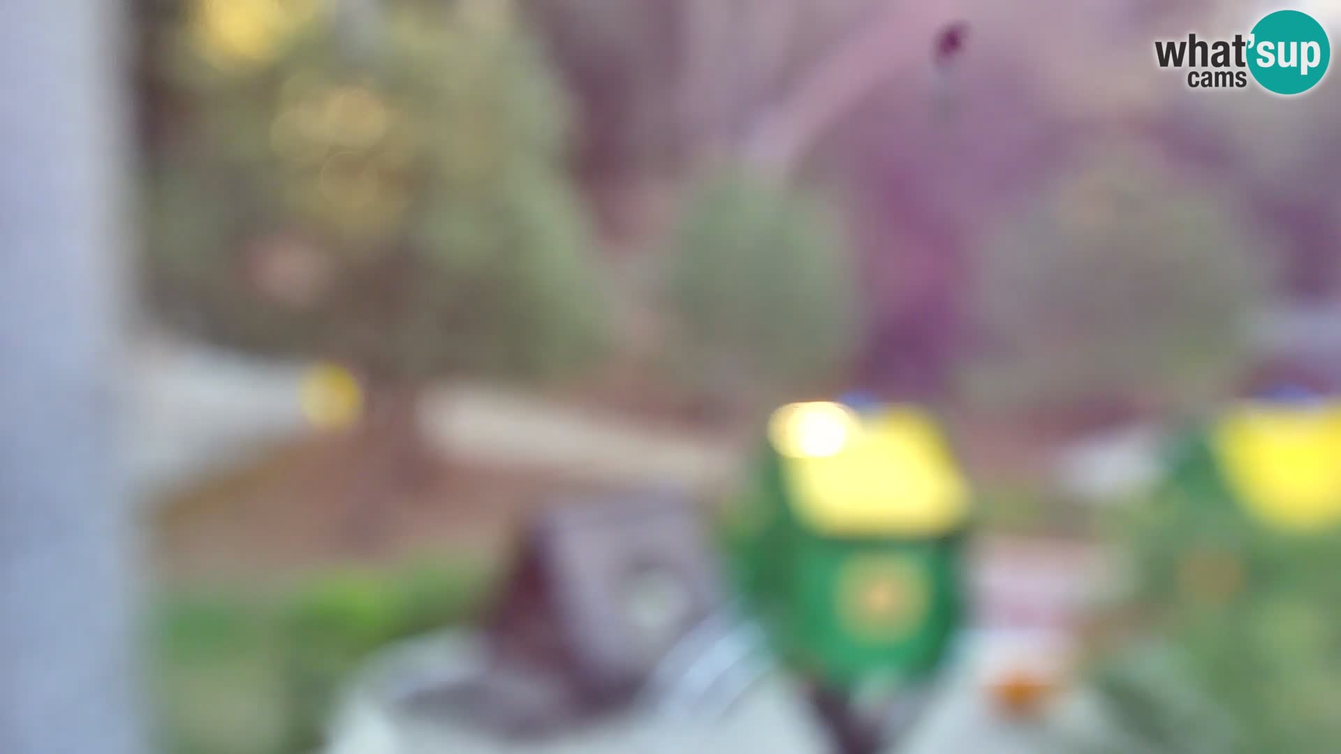 Webcam Borik beach Rovinj – Istria