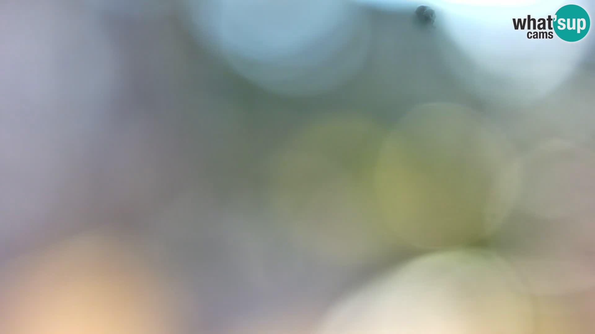 Webcam Borik beach Rovinj – Istria