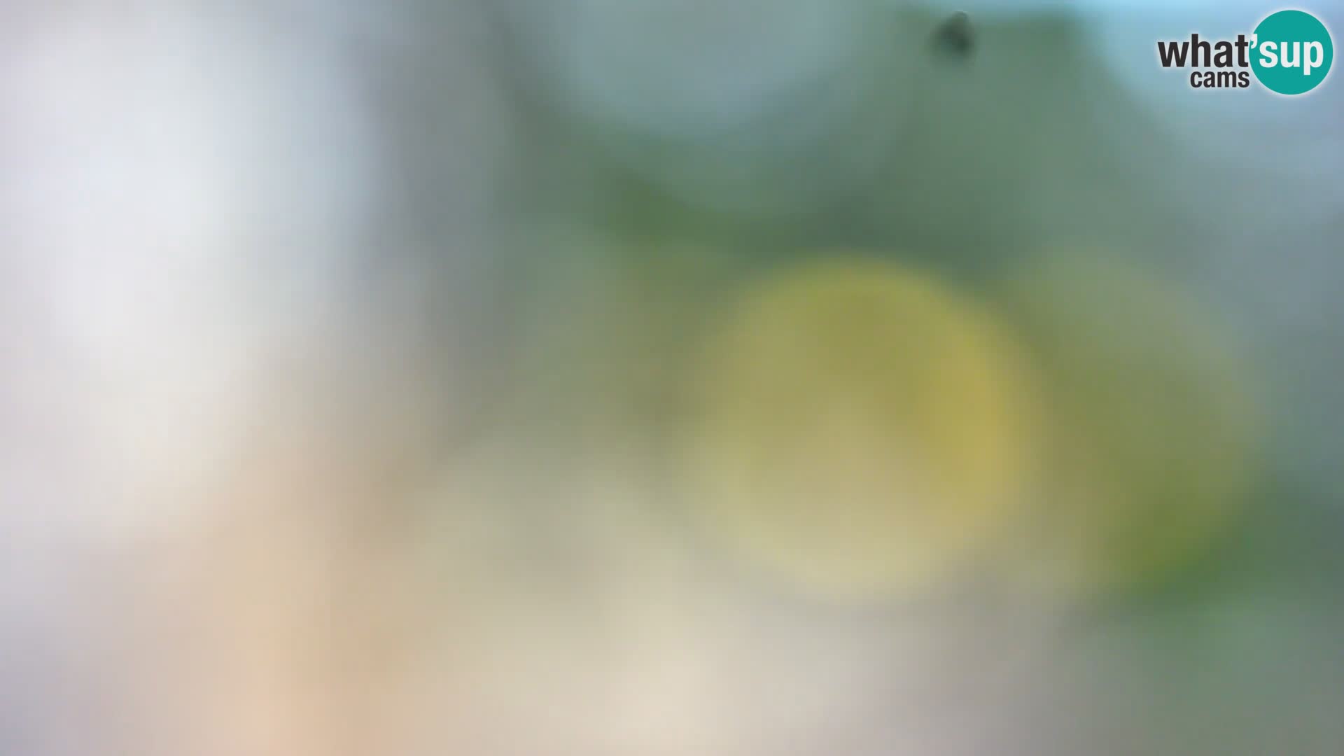 Camera en vivo Borik playa Rovinj – Istria