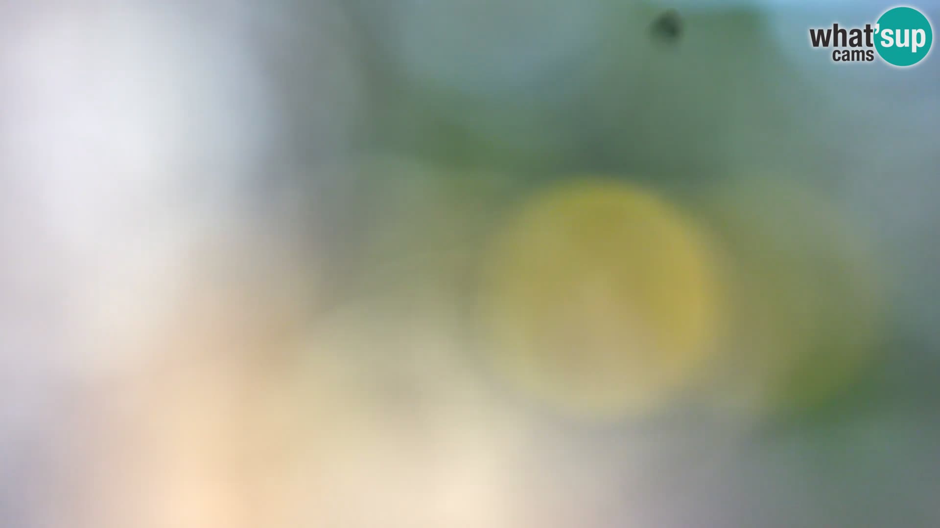 Camera en vivo Borik playa Rovinj – Istria