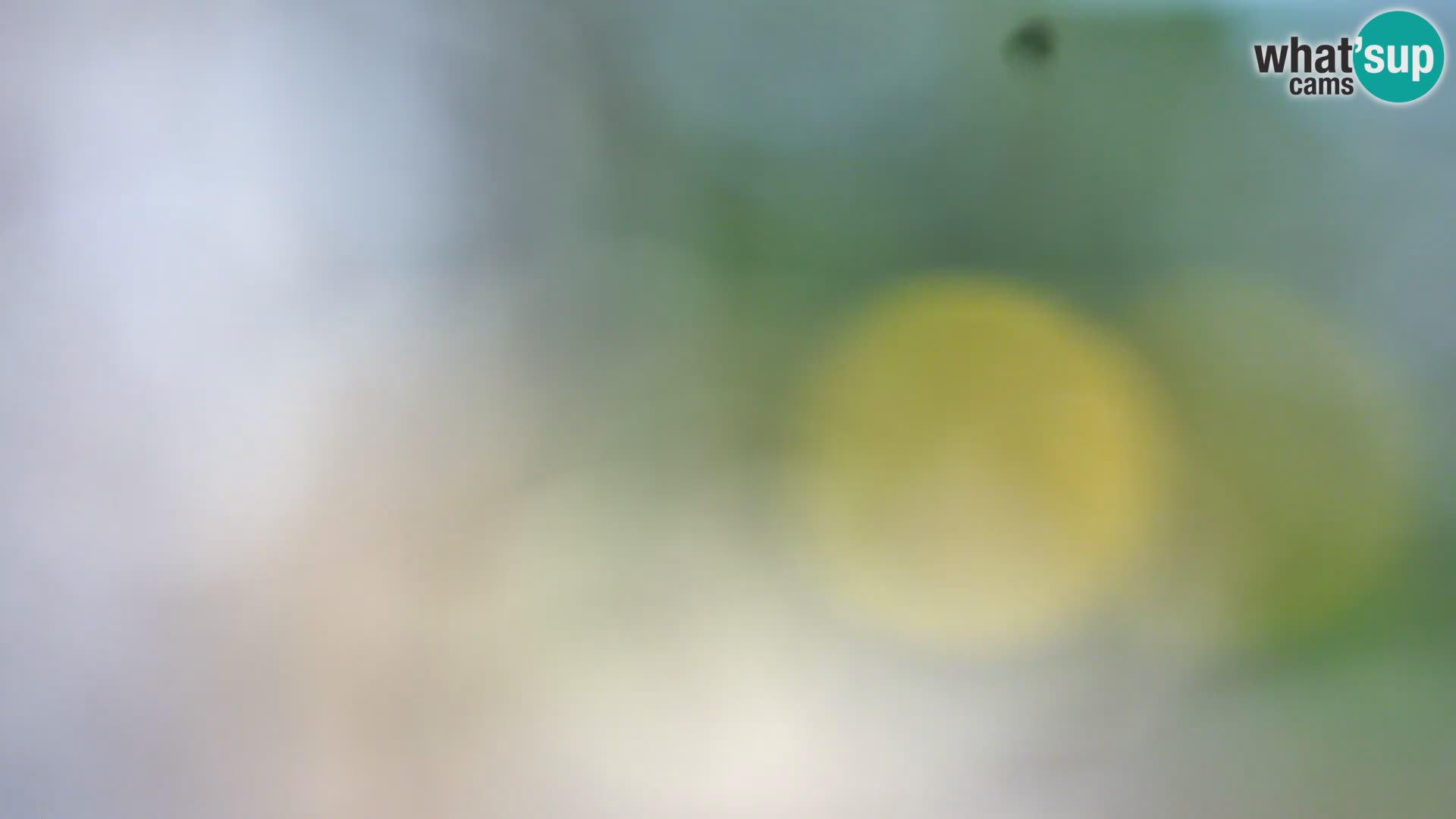 Camera en vivo Borik playa Rovinj – Istria