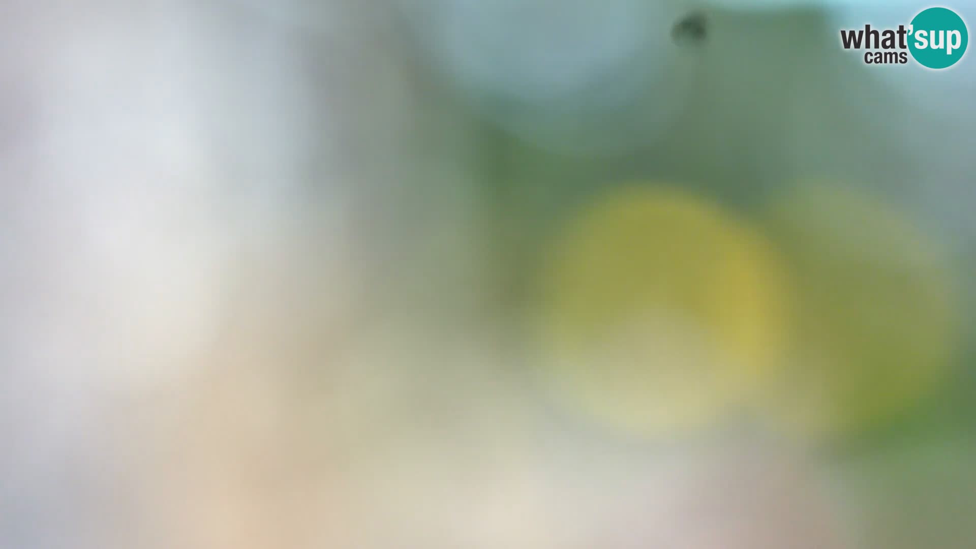 Camera en vivo Borik playa Rovinj – Istria