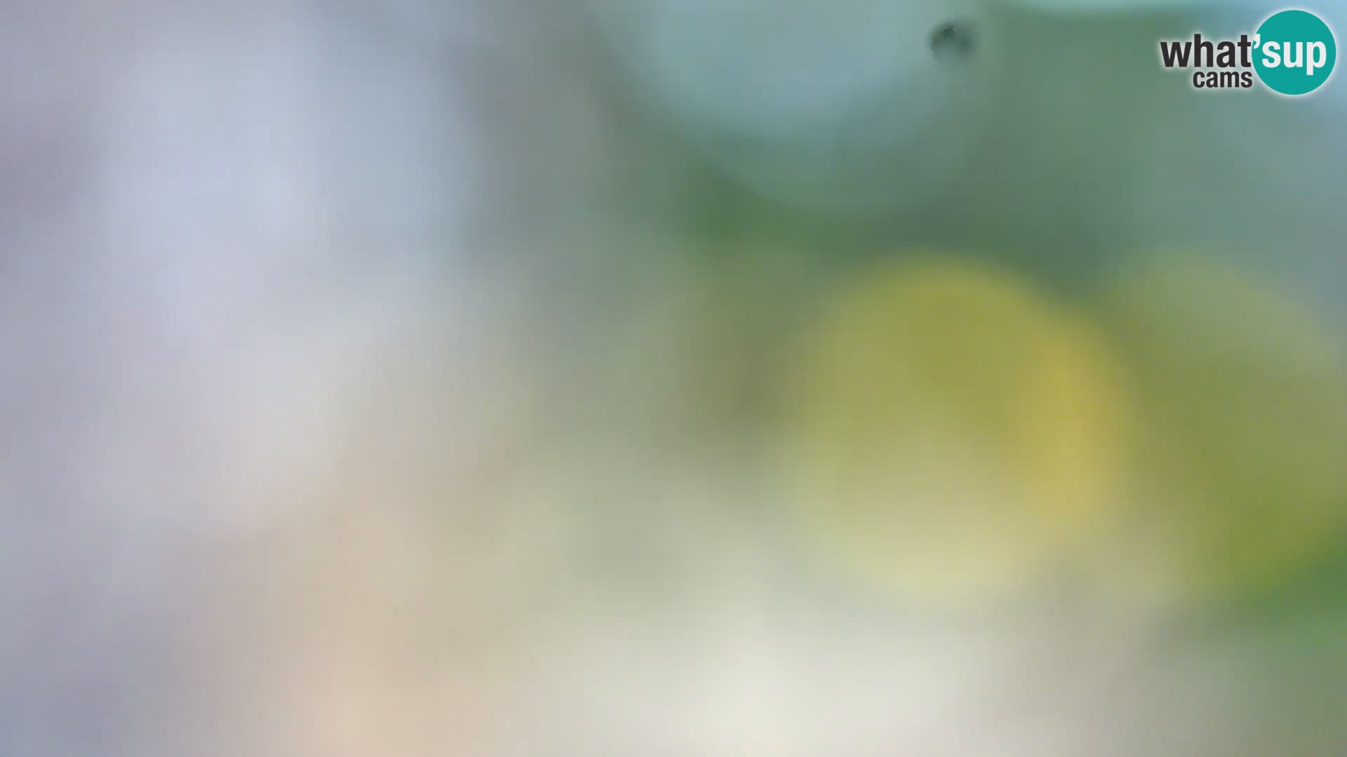 Web kamera Borik plaža Rovinj – Istra