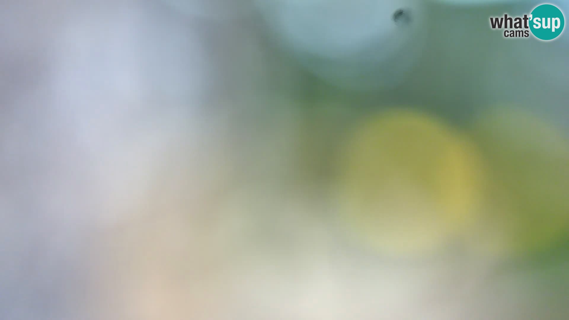 Webcam Spiaggia Borik a Rovigno – Istria