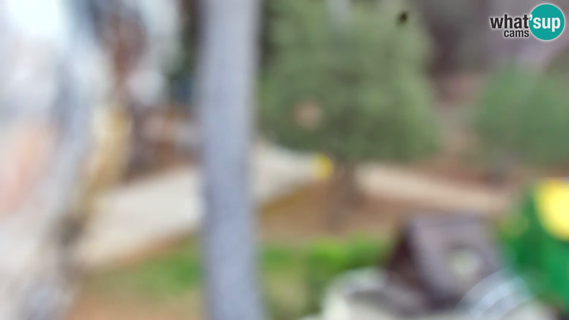 Webcam Borik beach Rovinj – Istria