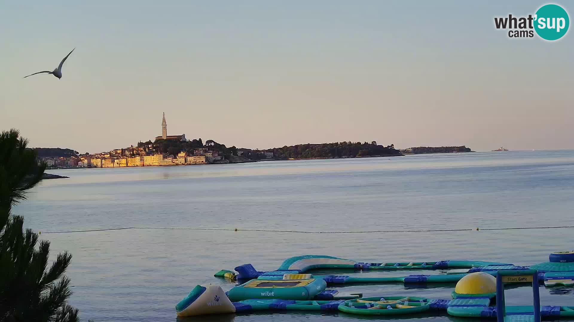 Webcam Spiaggia Borik a Rovigno – Istria