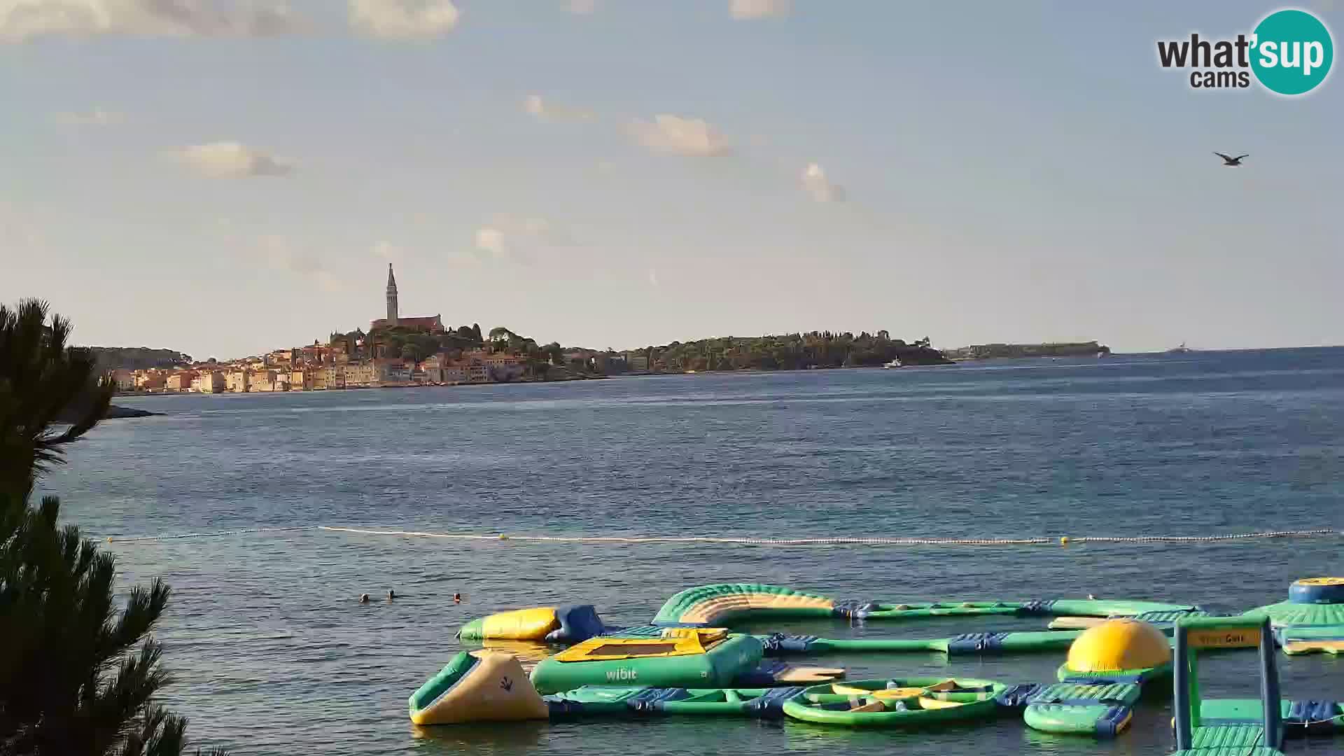 Camera en vivo Borik playa Rovinj – Istria