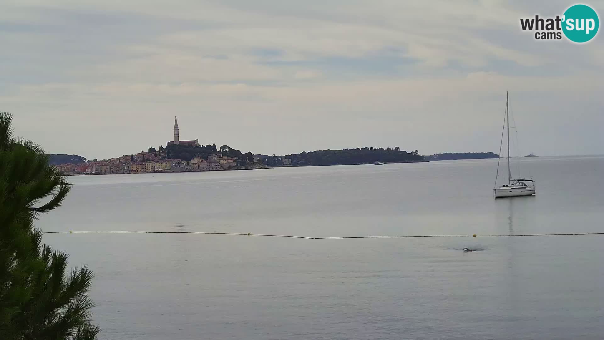 Webcam Spiaggia Borik a Rovigno – Istria