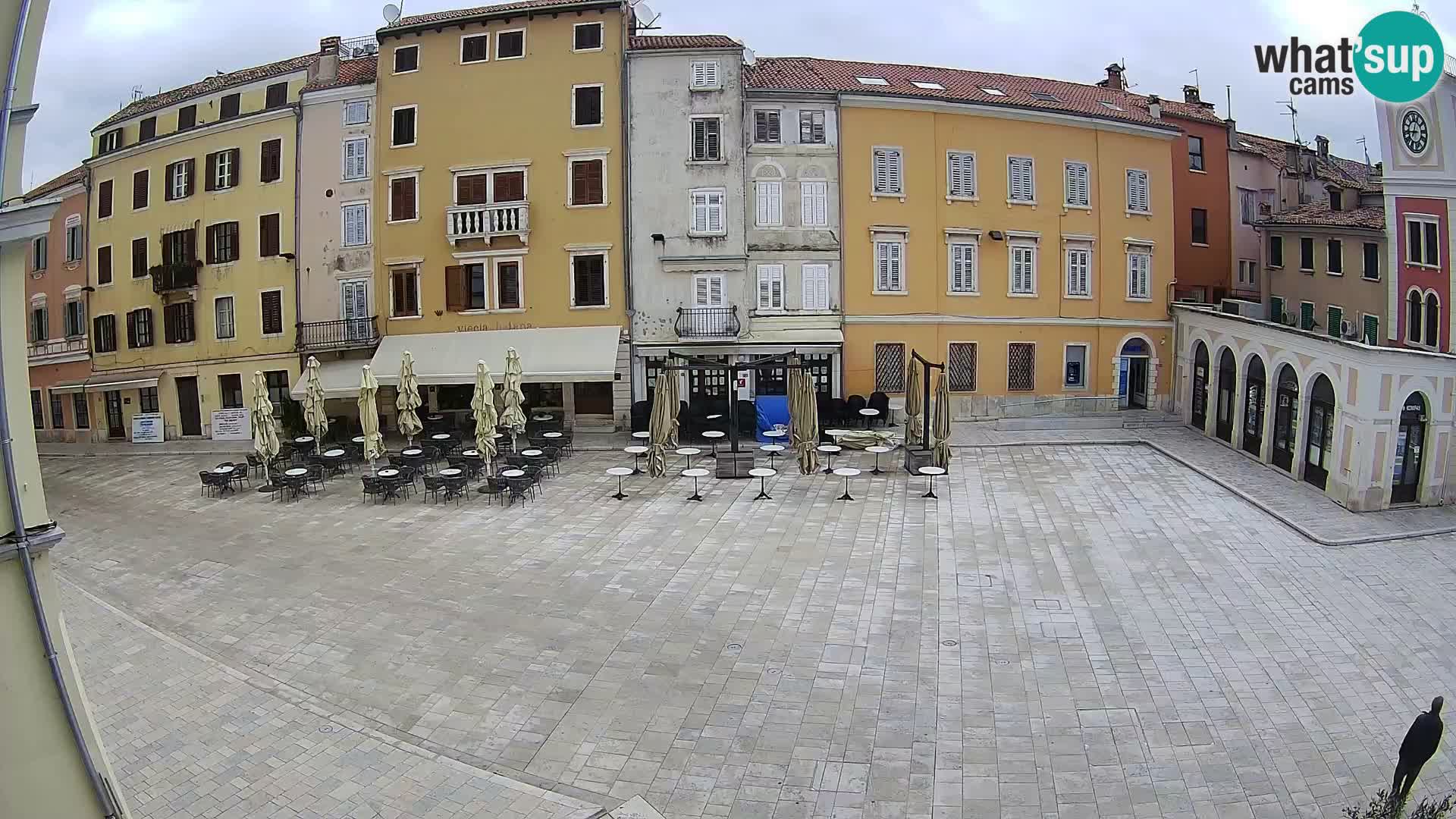 Spletna kamera Rovinj Center – Glavni trg