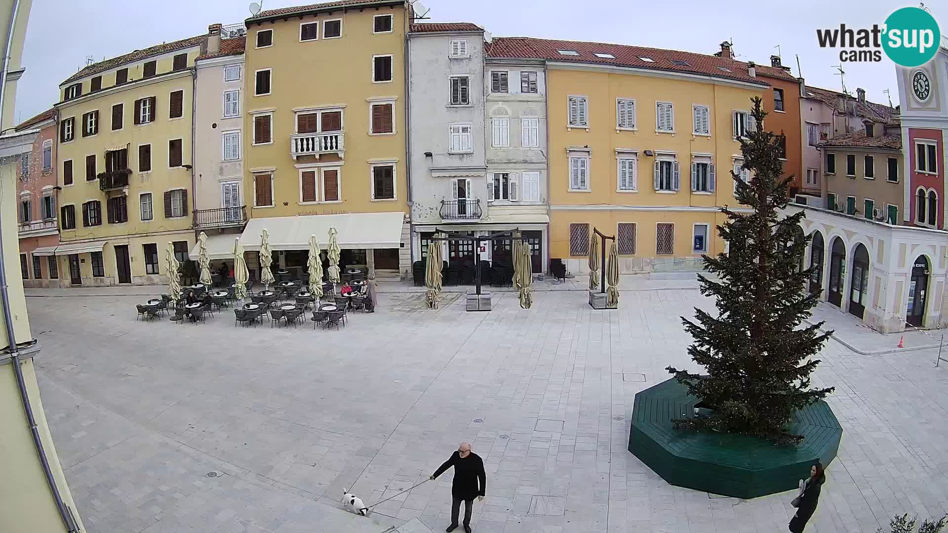 Spletna kamera Rovinj Center – Glavni trg