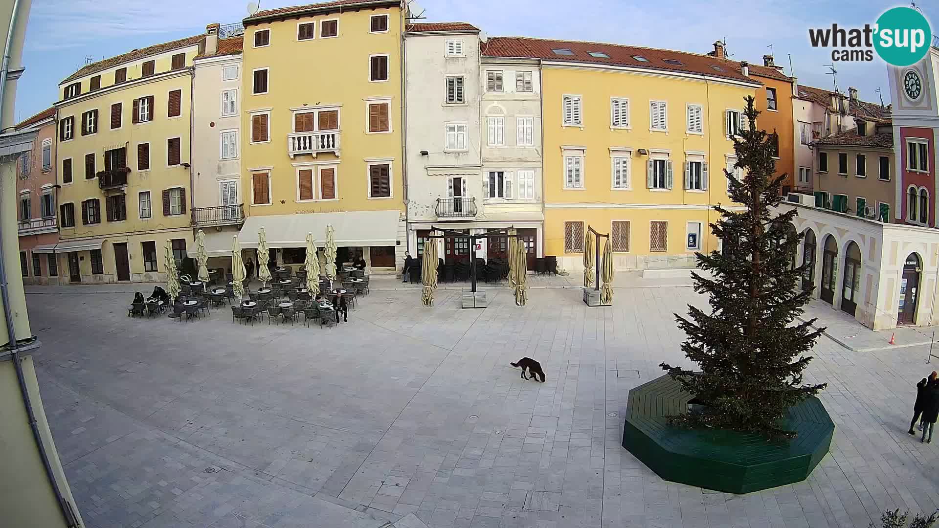 Webcam Rovinj Zentrum – Hauptplatz in Echtzeit