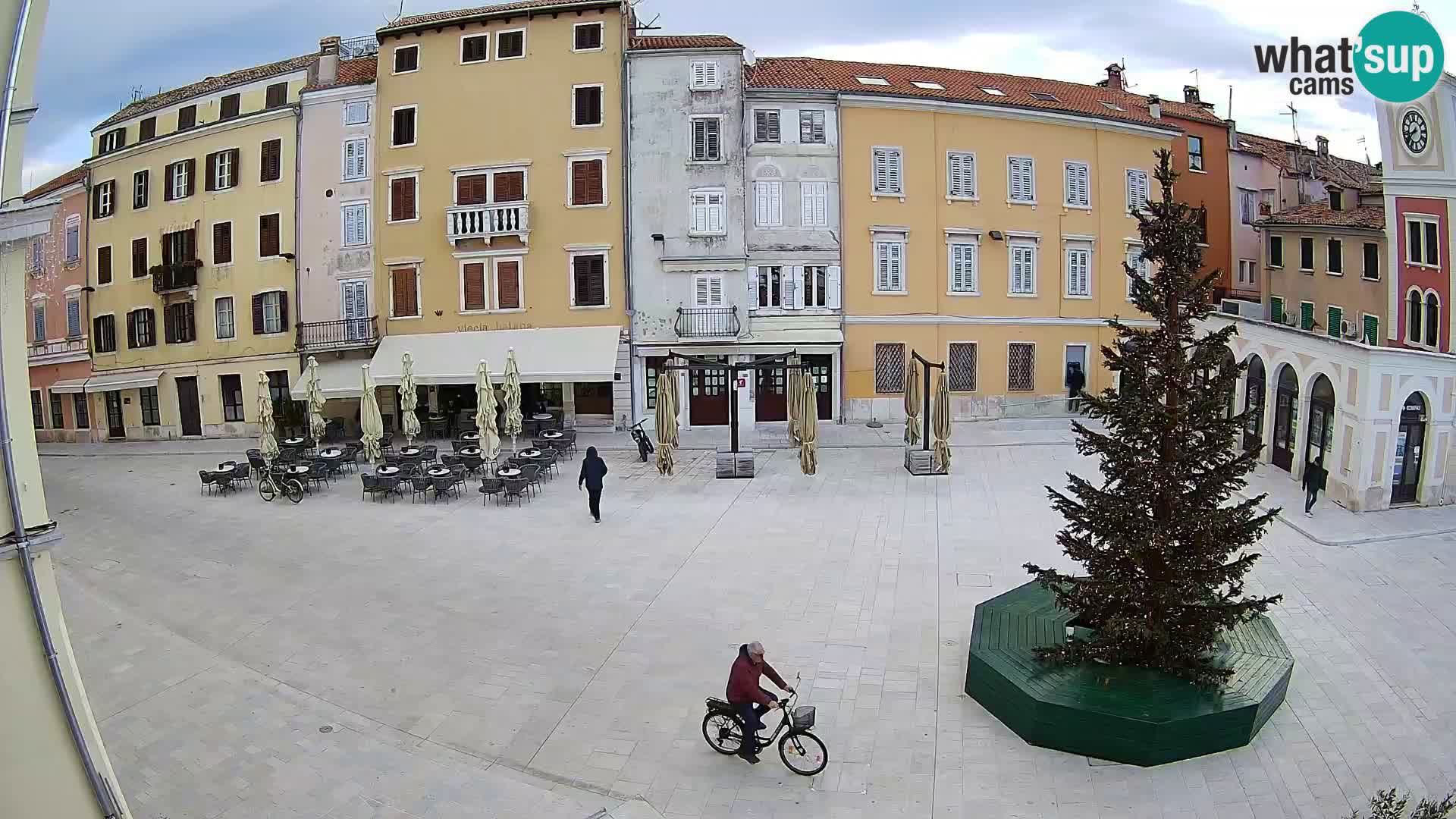 Spletna kamera Rovinj Center – Glavni trg