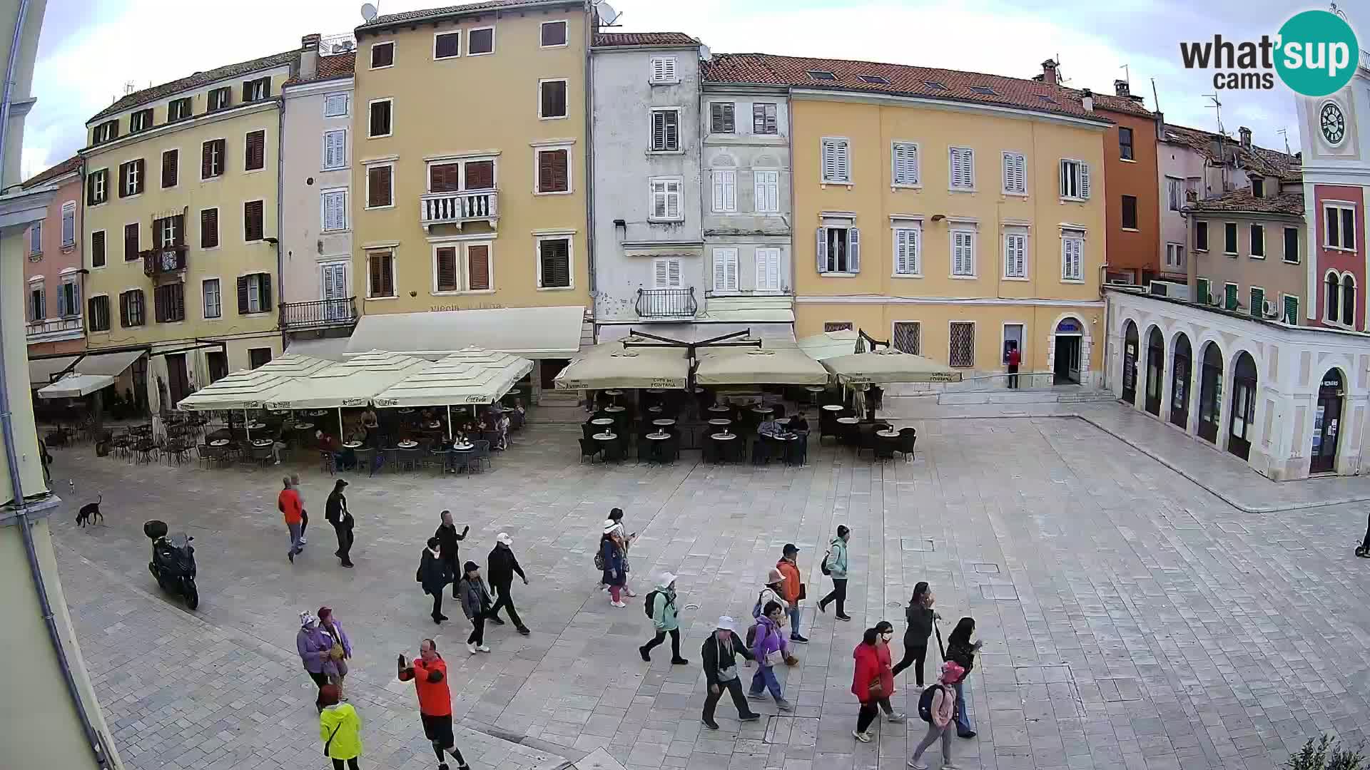 Spletna kamera Rovinj Center – Glavni trg
