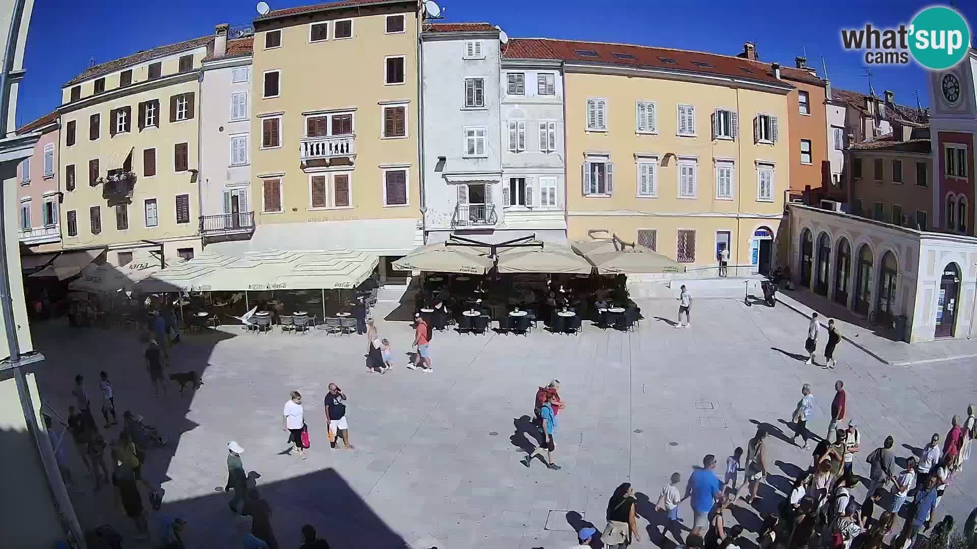 Spletna kamera Rovinj Center – Glavni trg