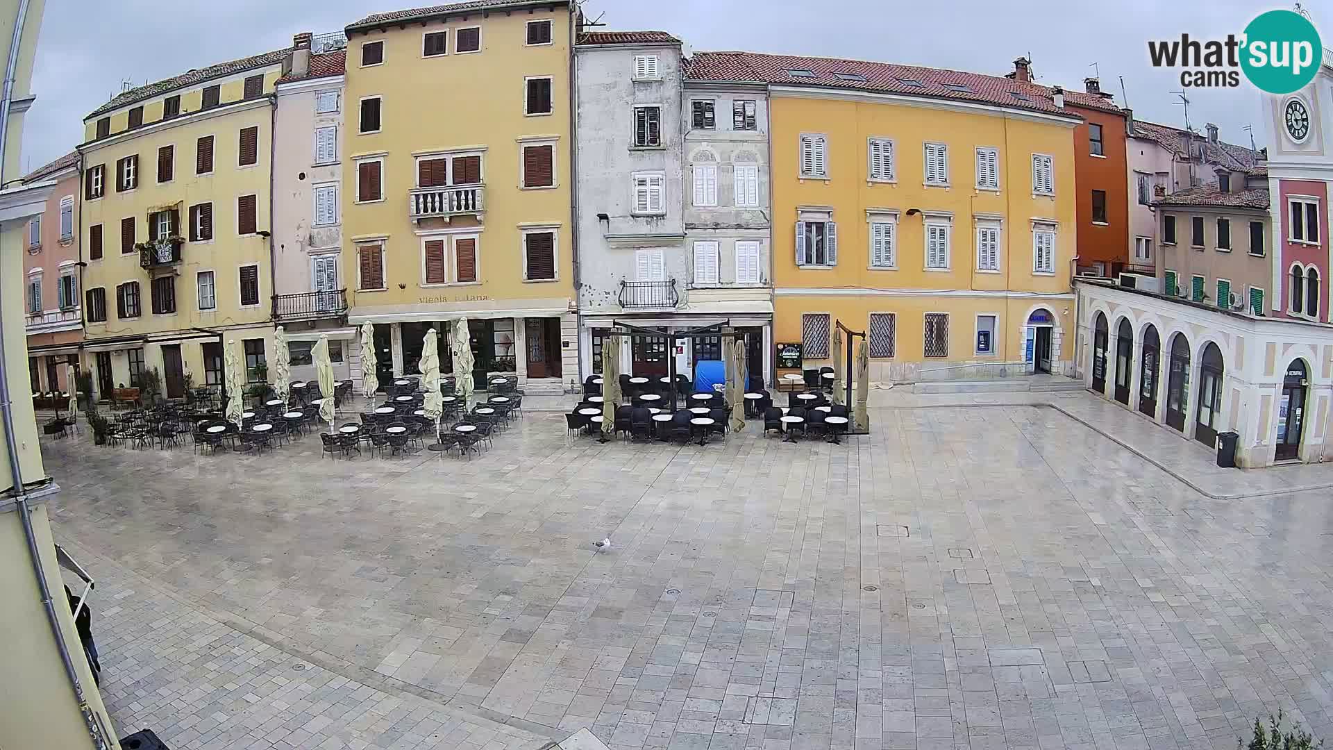 Spletna kamera Rovinj Center – Glavni trg