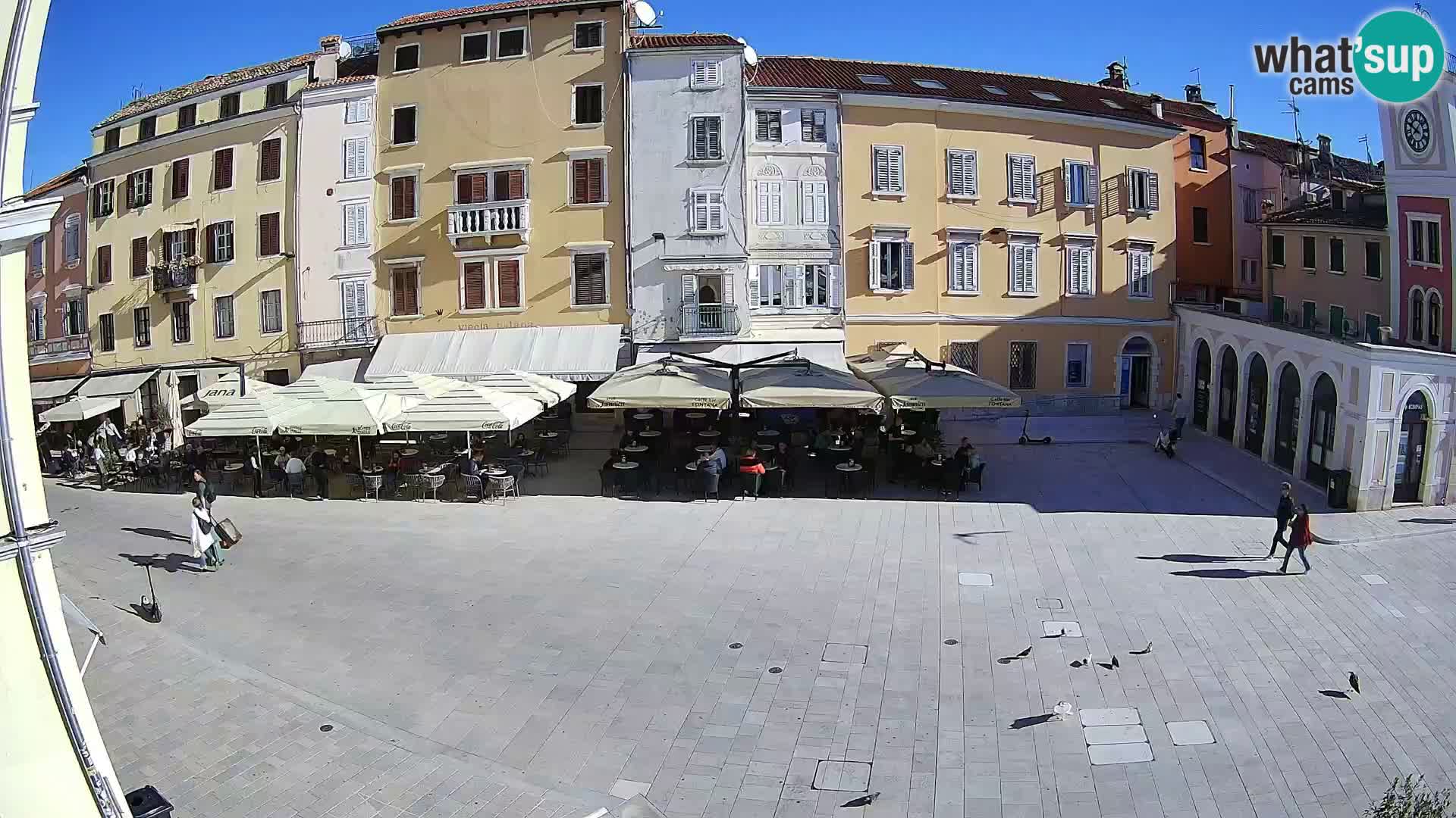 Spletna kamera Rovinj Center – Glavni trg