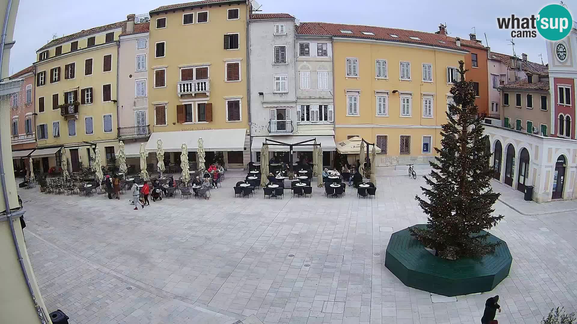 Rovinj Center Webcam – Main Square