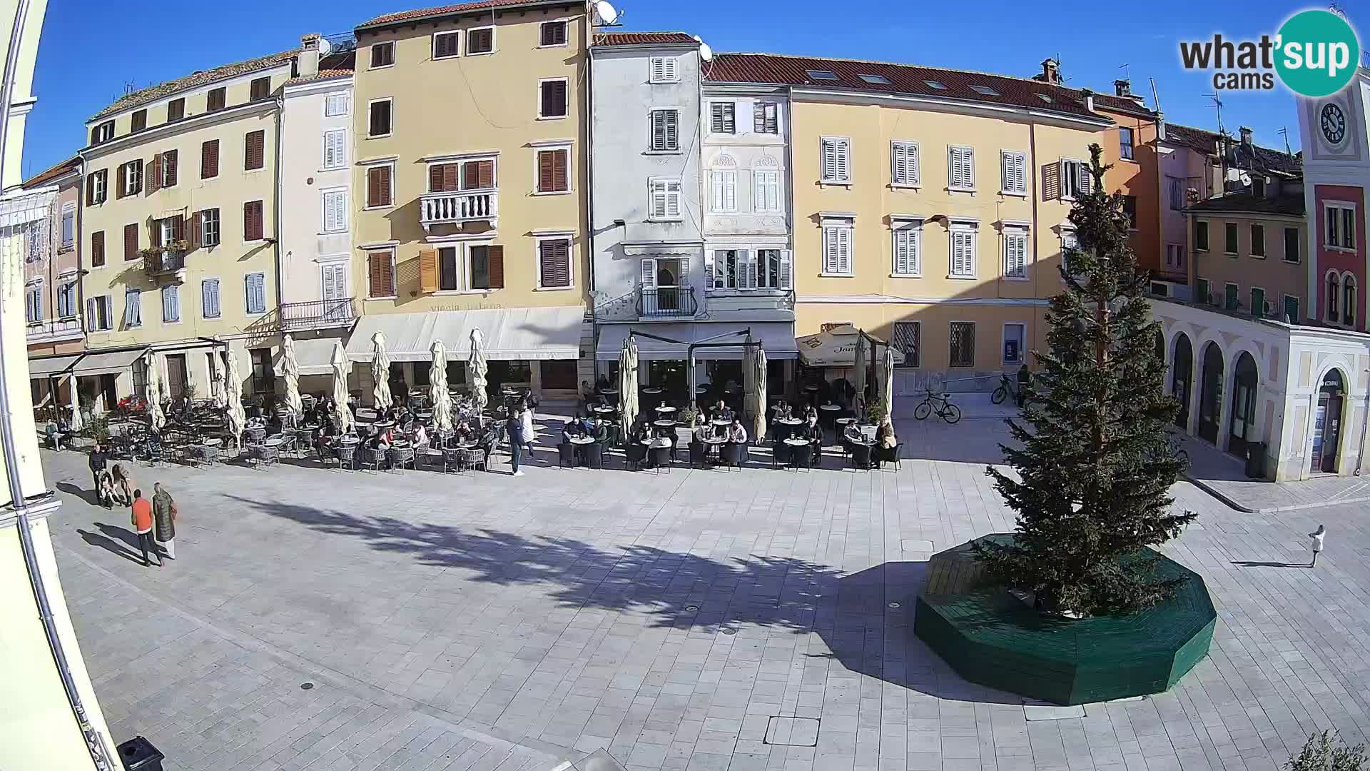 Rovinj Center Webcam – Main Square