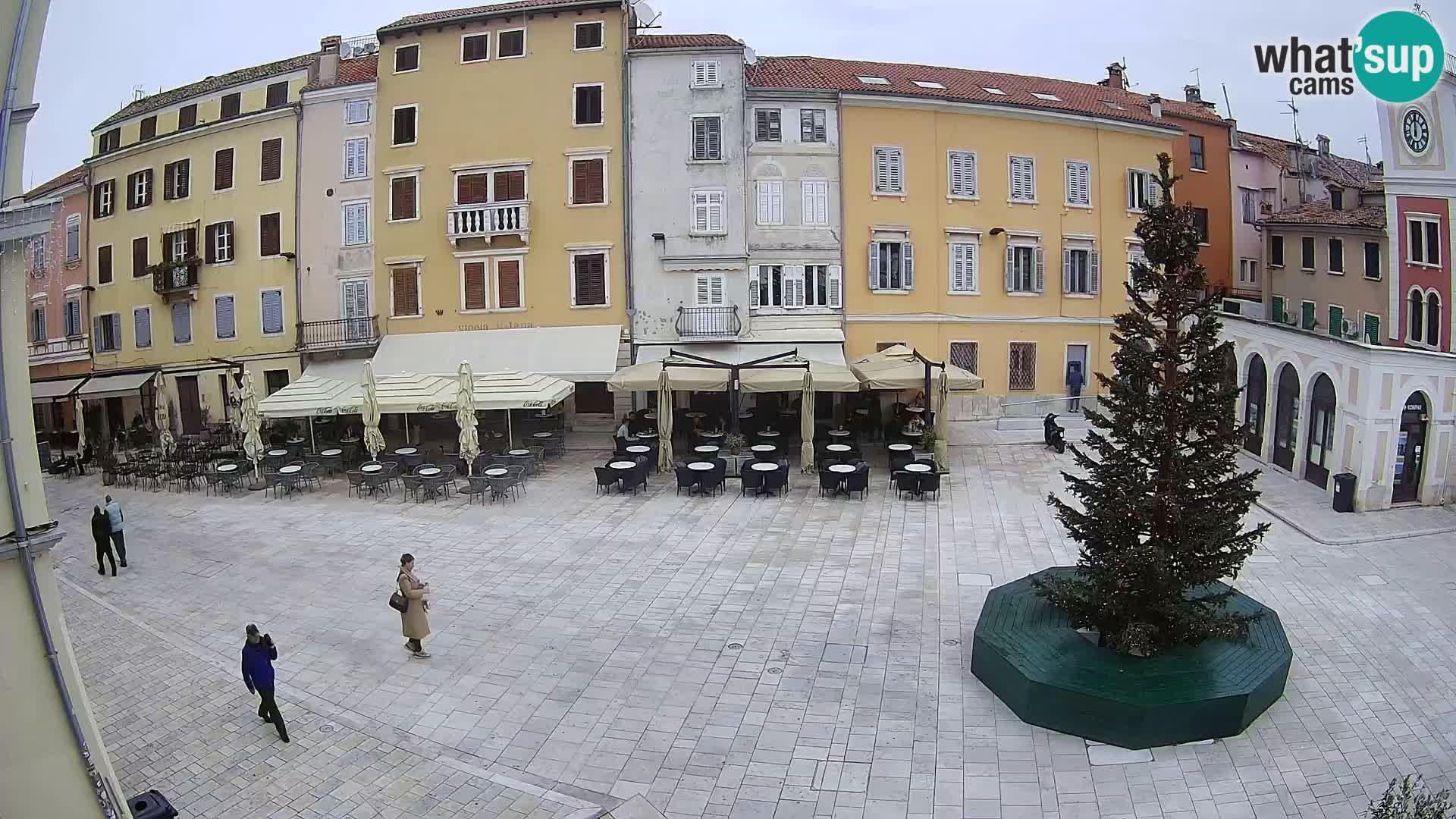 Spletna kamera Rovinj Center – Glavni trg