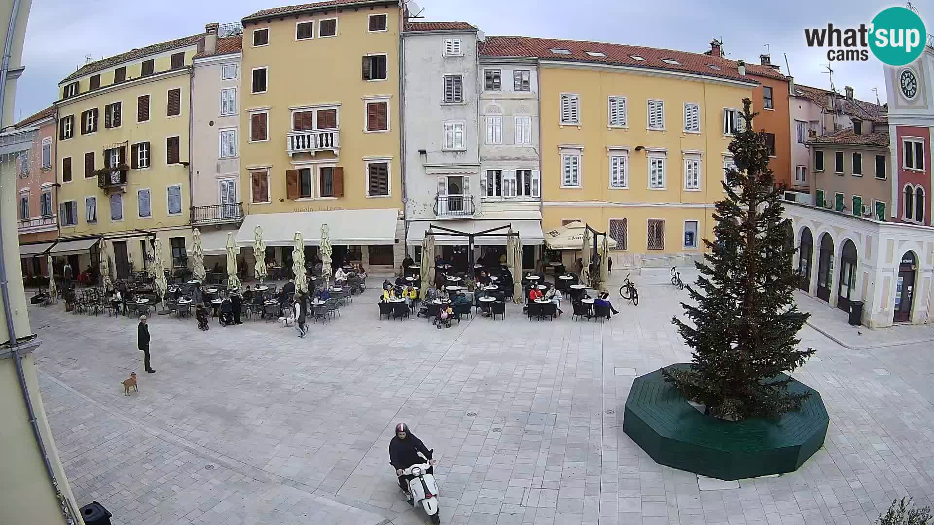 Webcam Rovinj Centre – Place Principale