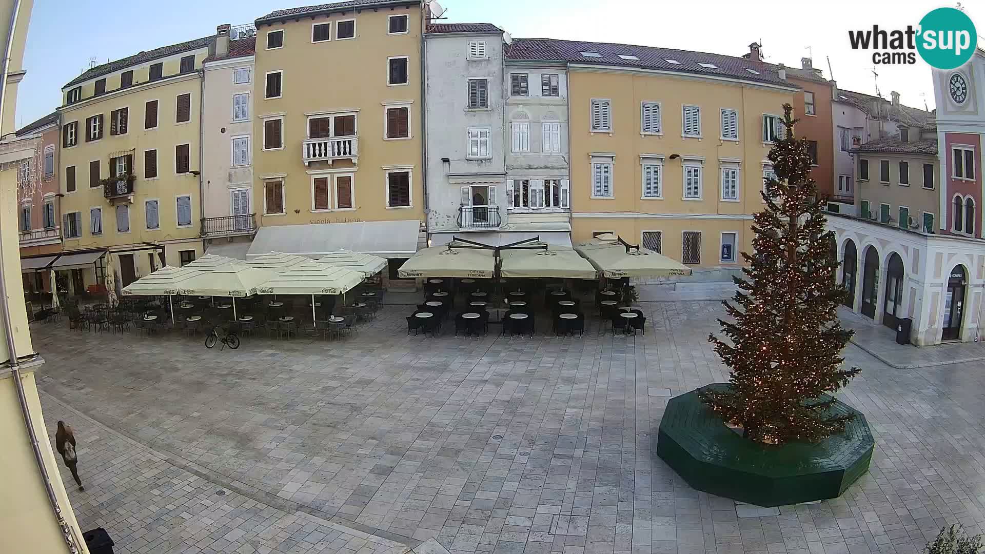 Webcam Rovinj Center – Plaza Principal