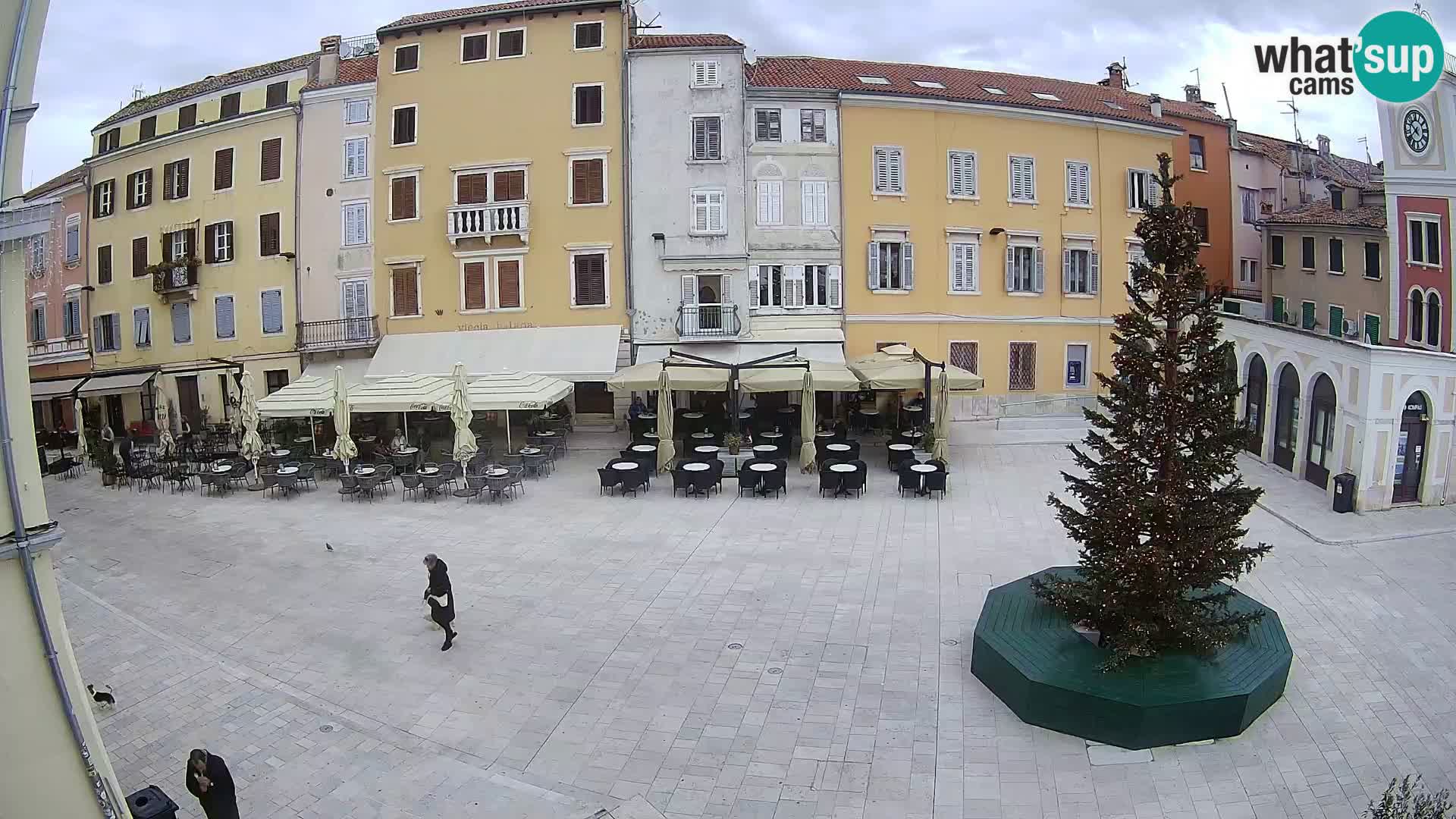 Rovinj Center Webcam – Main Square