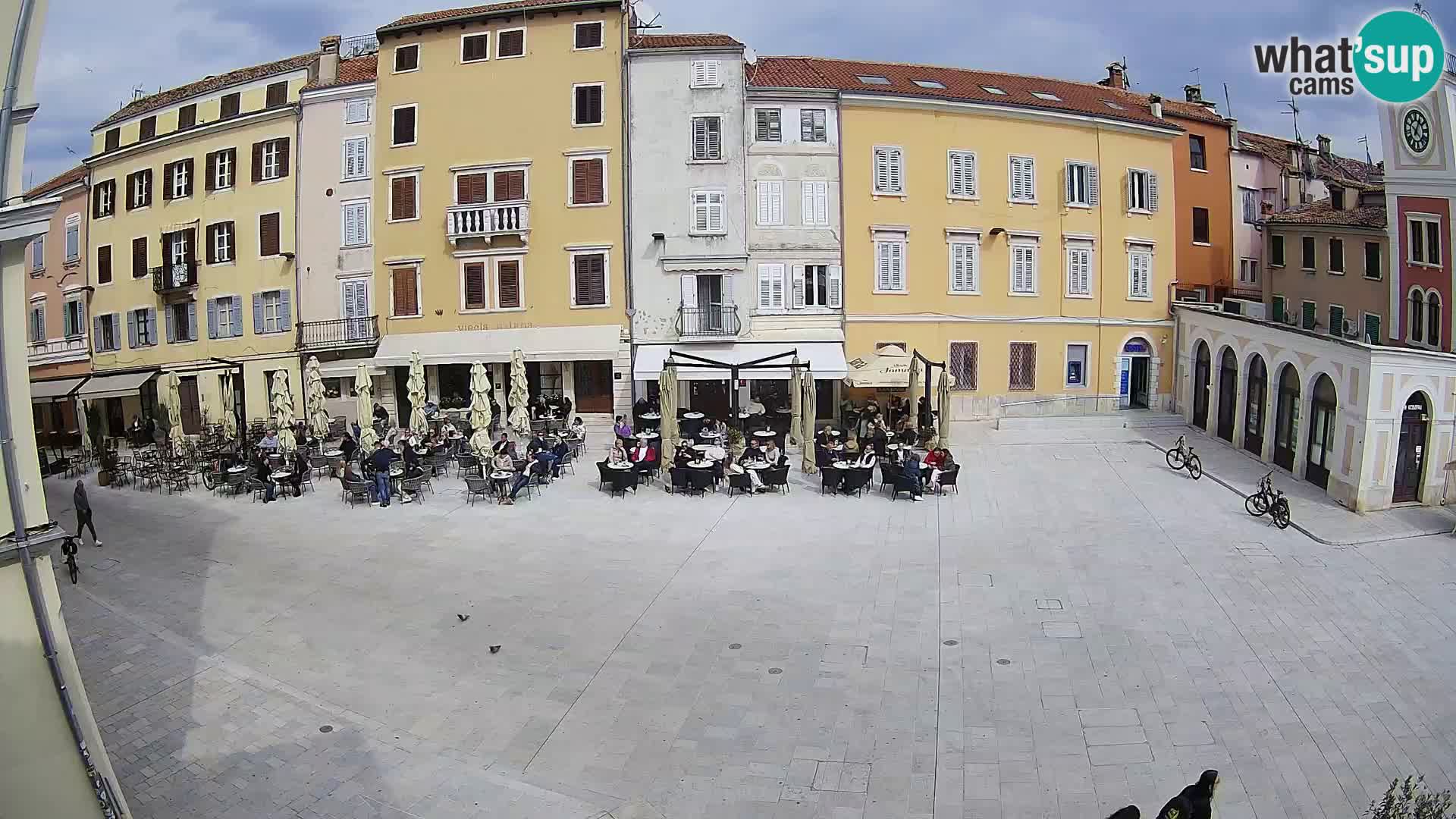 Webcam Rovinj Centar – glavni trg
