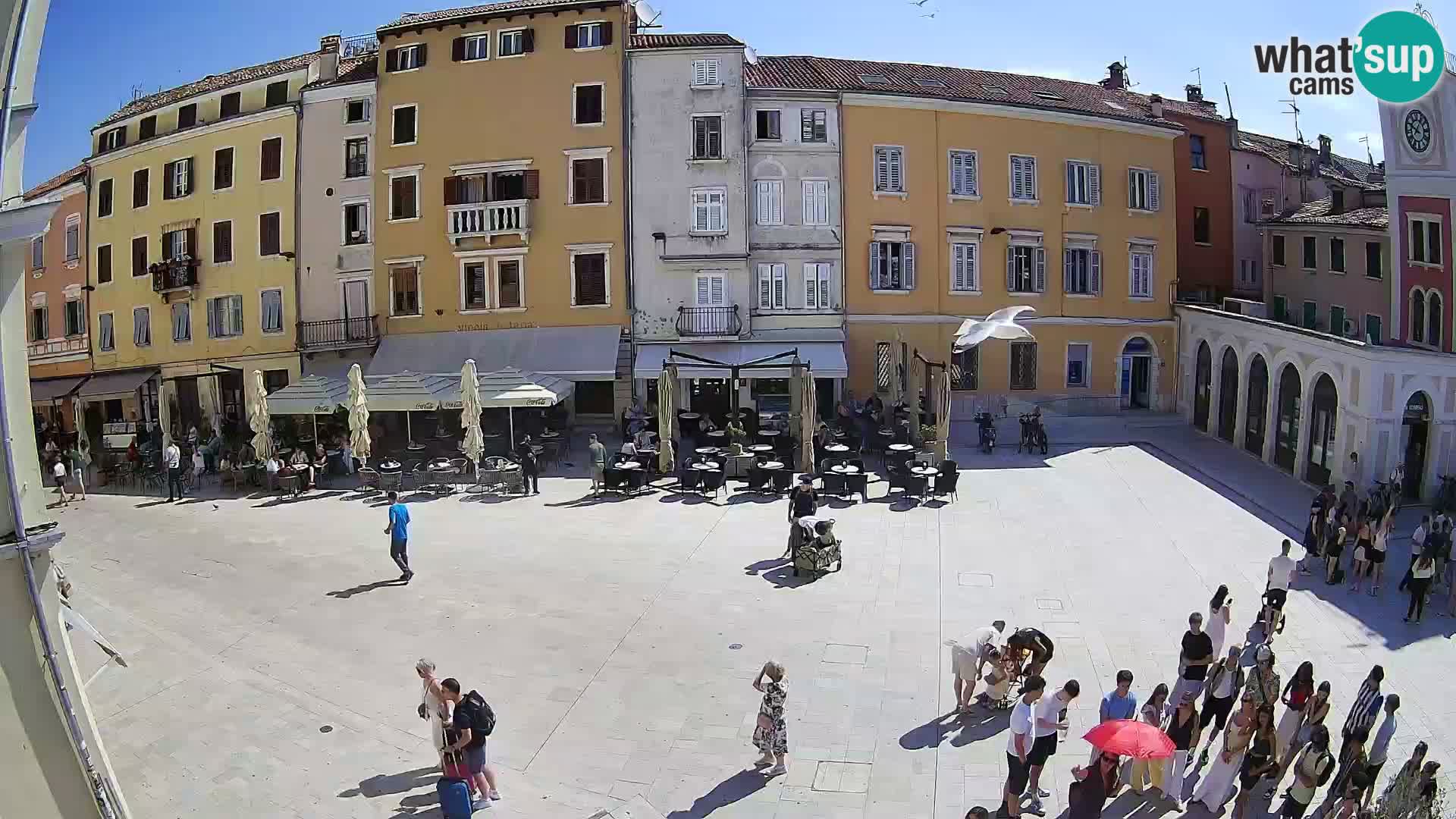 Webcam Rovinj Zentrum – Hauptplatz in Echtzeit